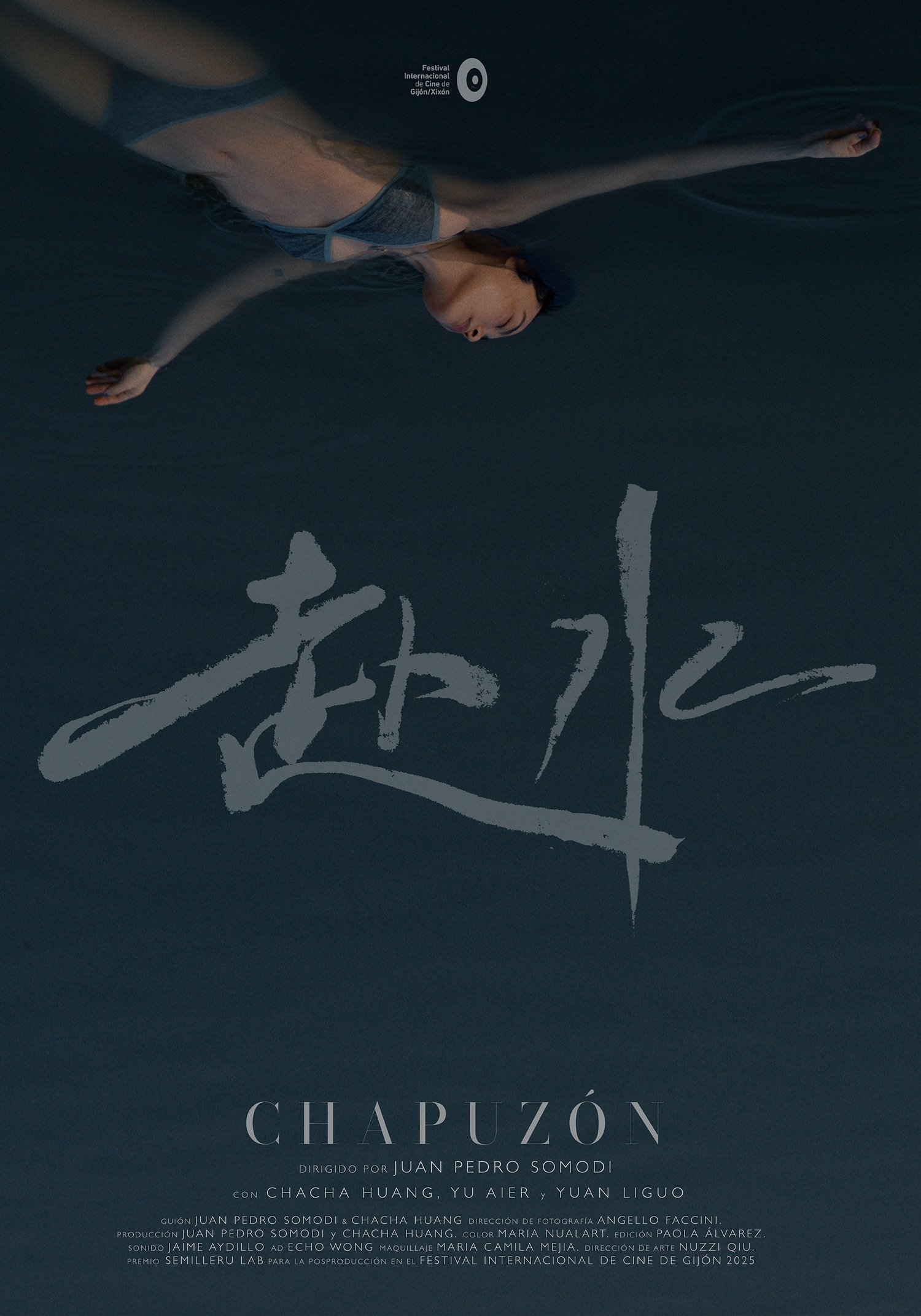 Poster Chapuzón Digital