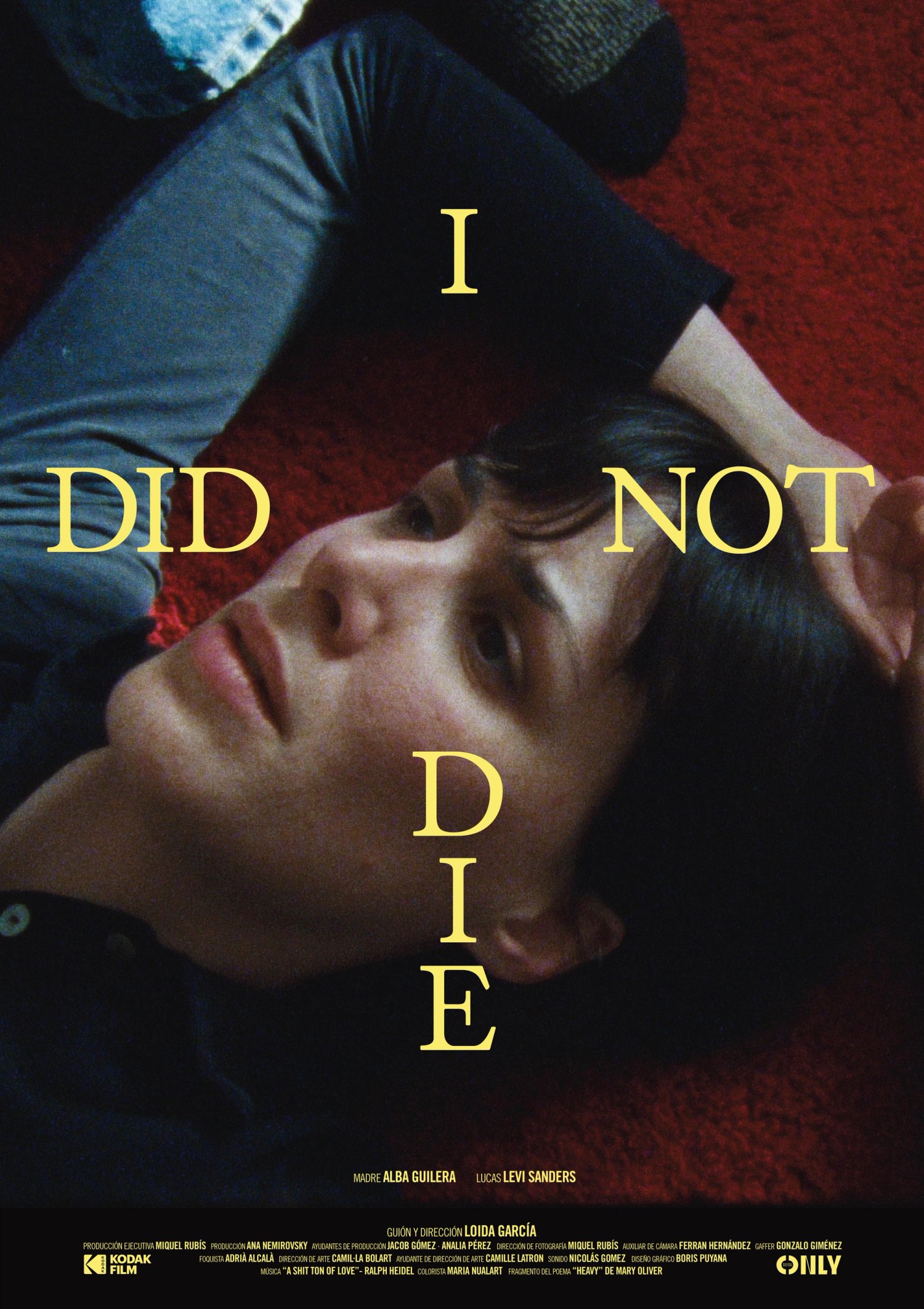 Poster IDND