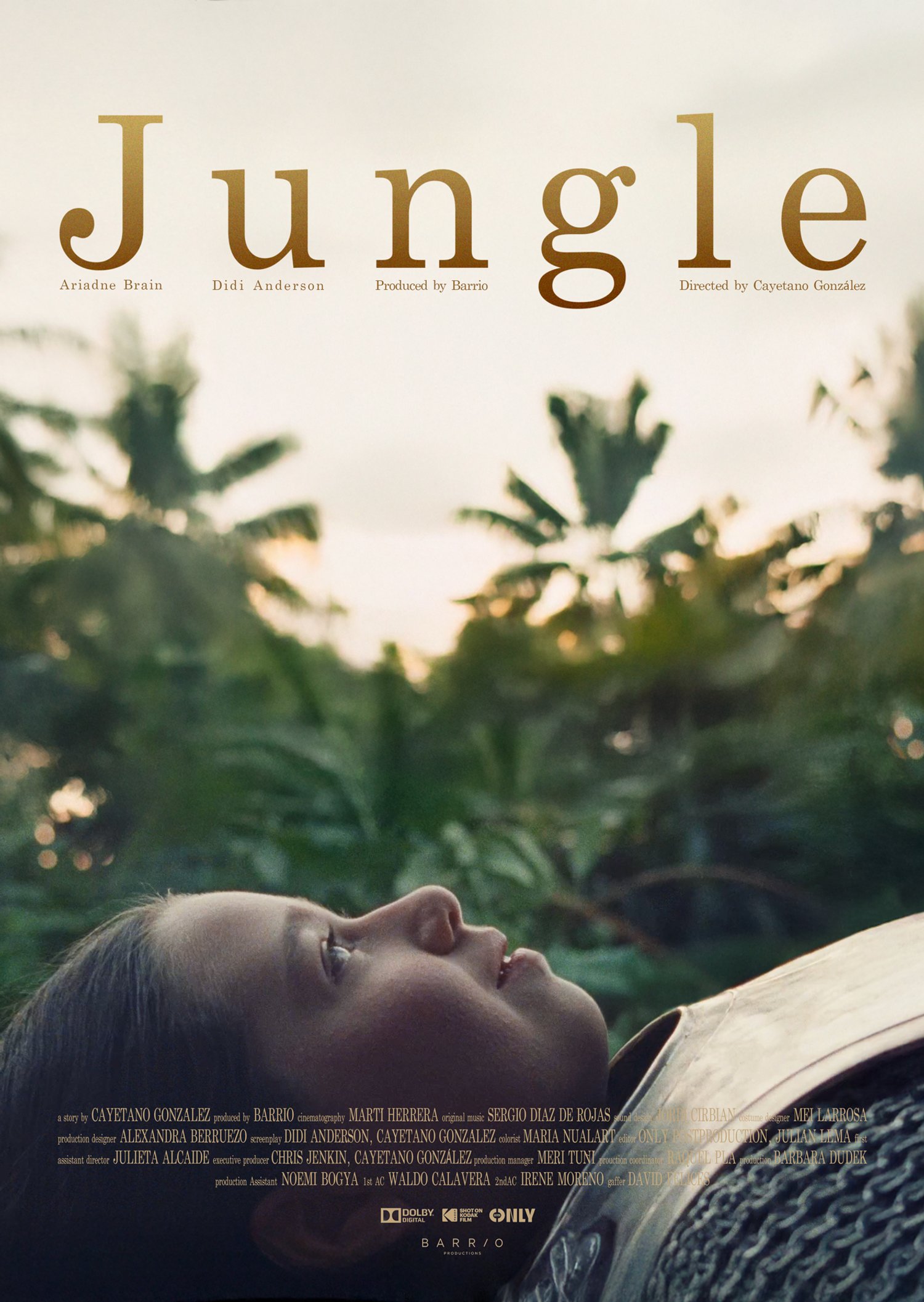Jungle