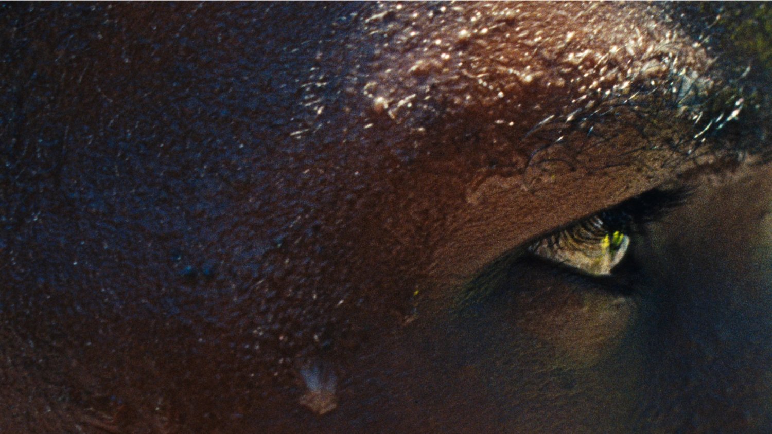 mn-adidas-fast-from-kenya-08