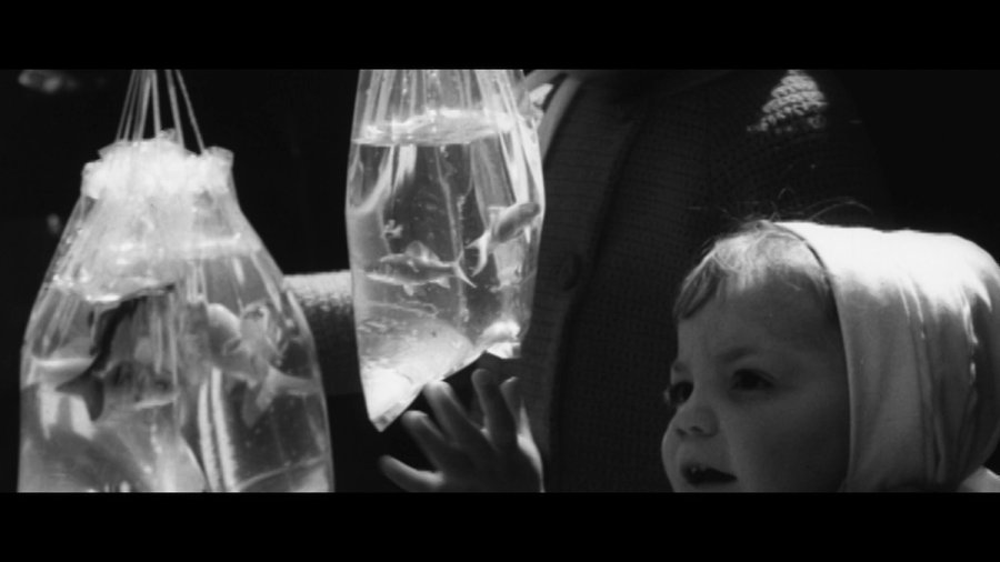 TERENCI_-_CONOZ_DG90317637_22_11_V1_1_3.105.1