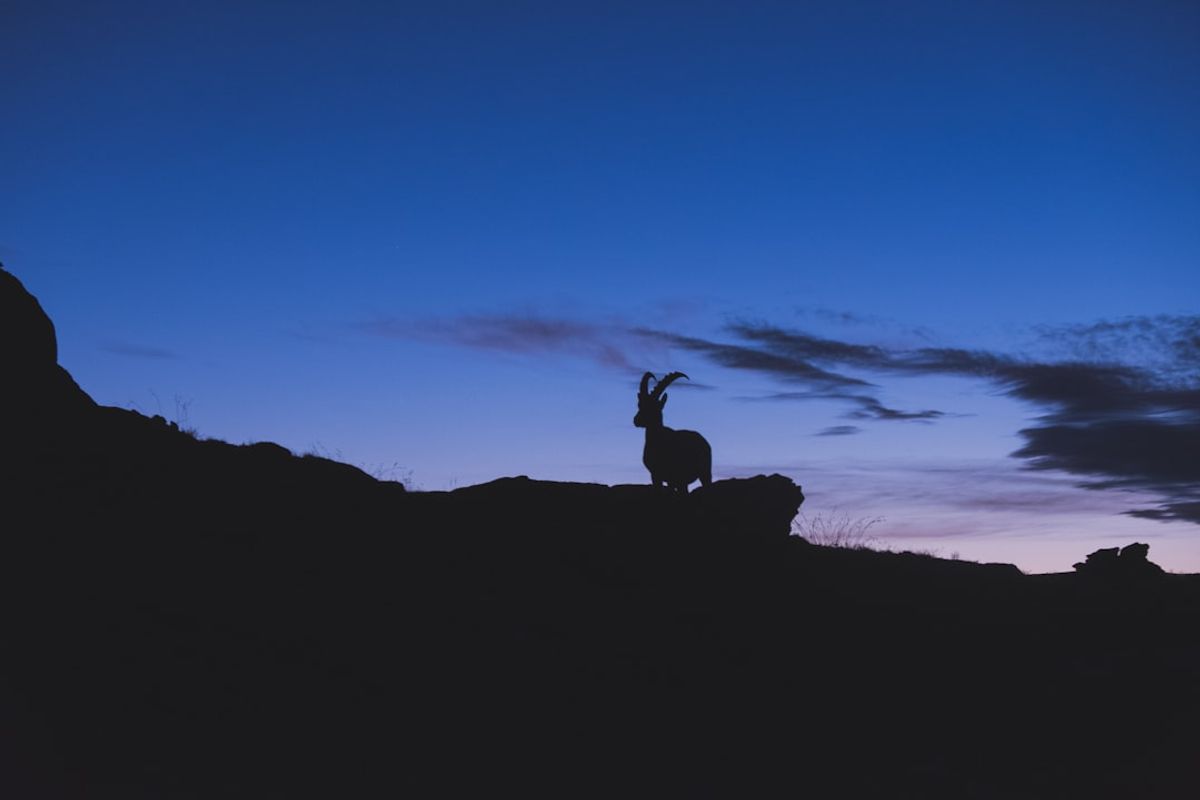 摩羯座♑完整解析：踏實努力的事業登山家