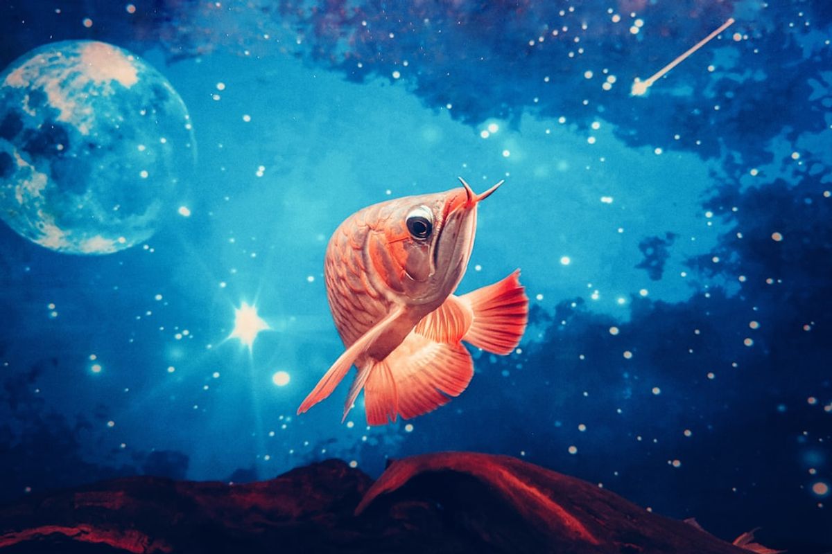 雙魚座♓完整解析：浪漫直覺的海洋靈魂