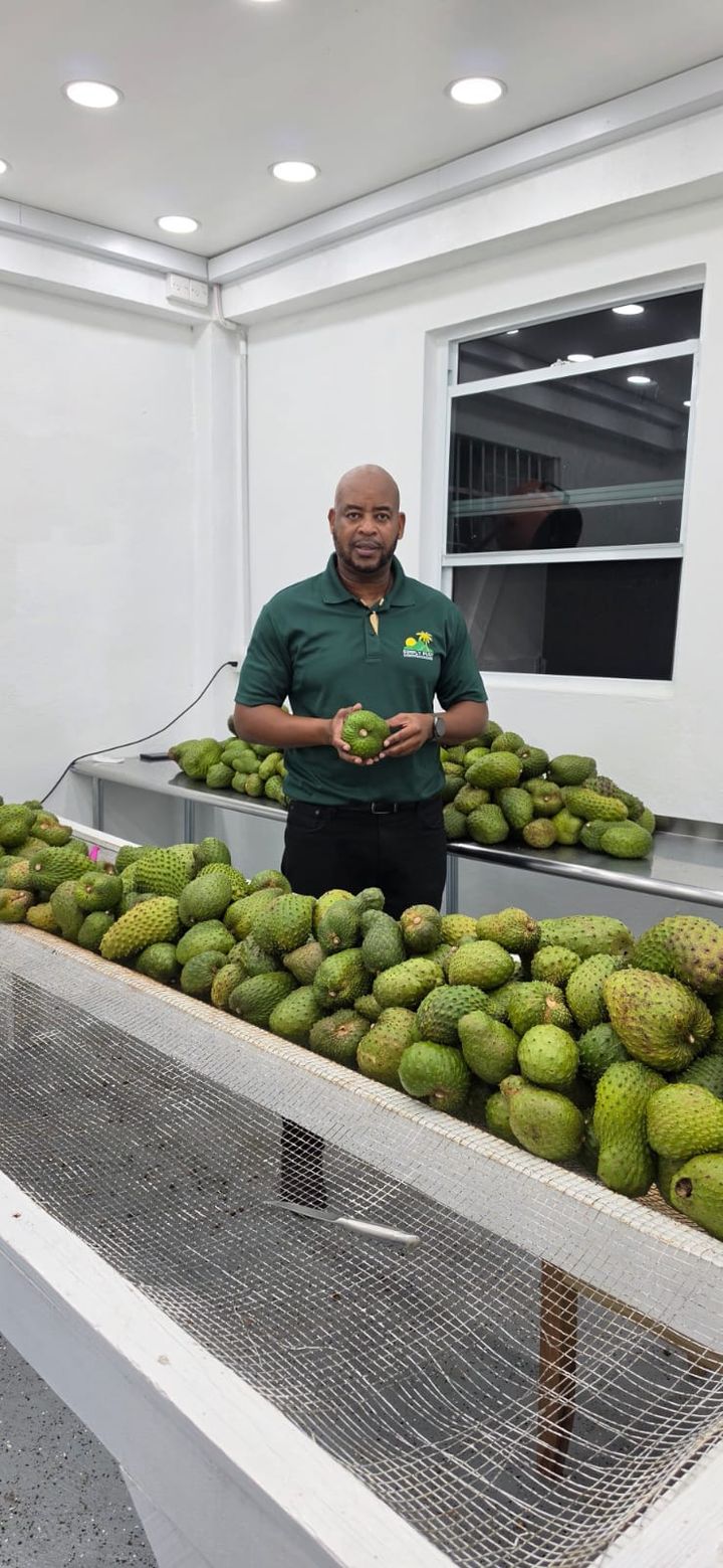 Grenada Exotic Fruit Production - Soursop-led