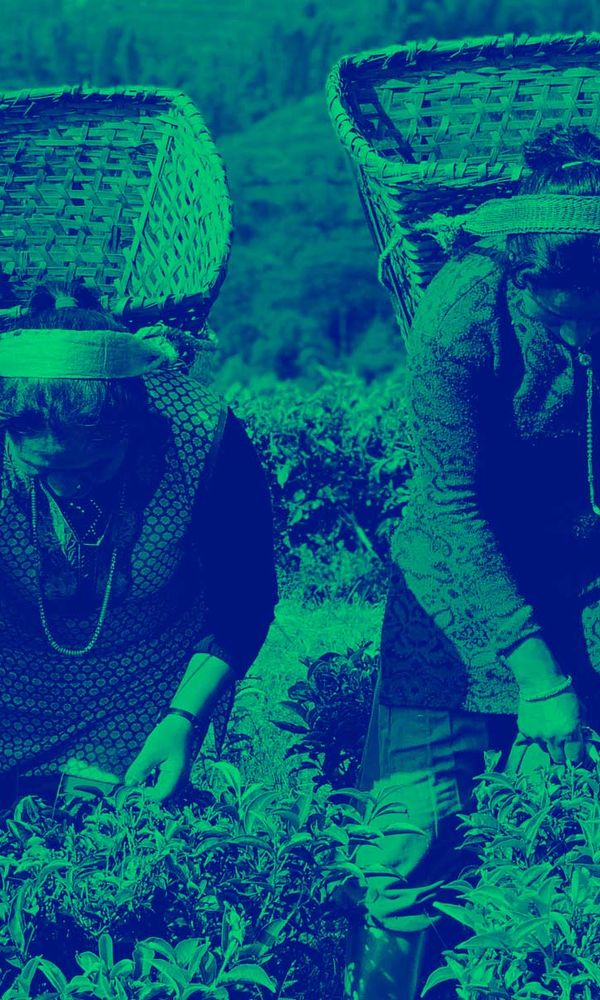GreenToCompete Hub-Caribbean