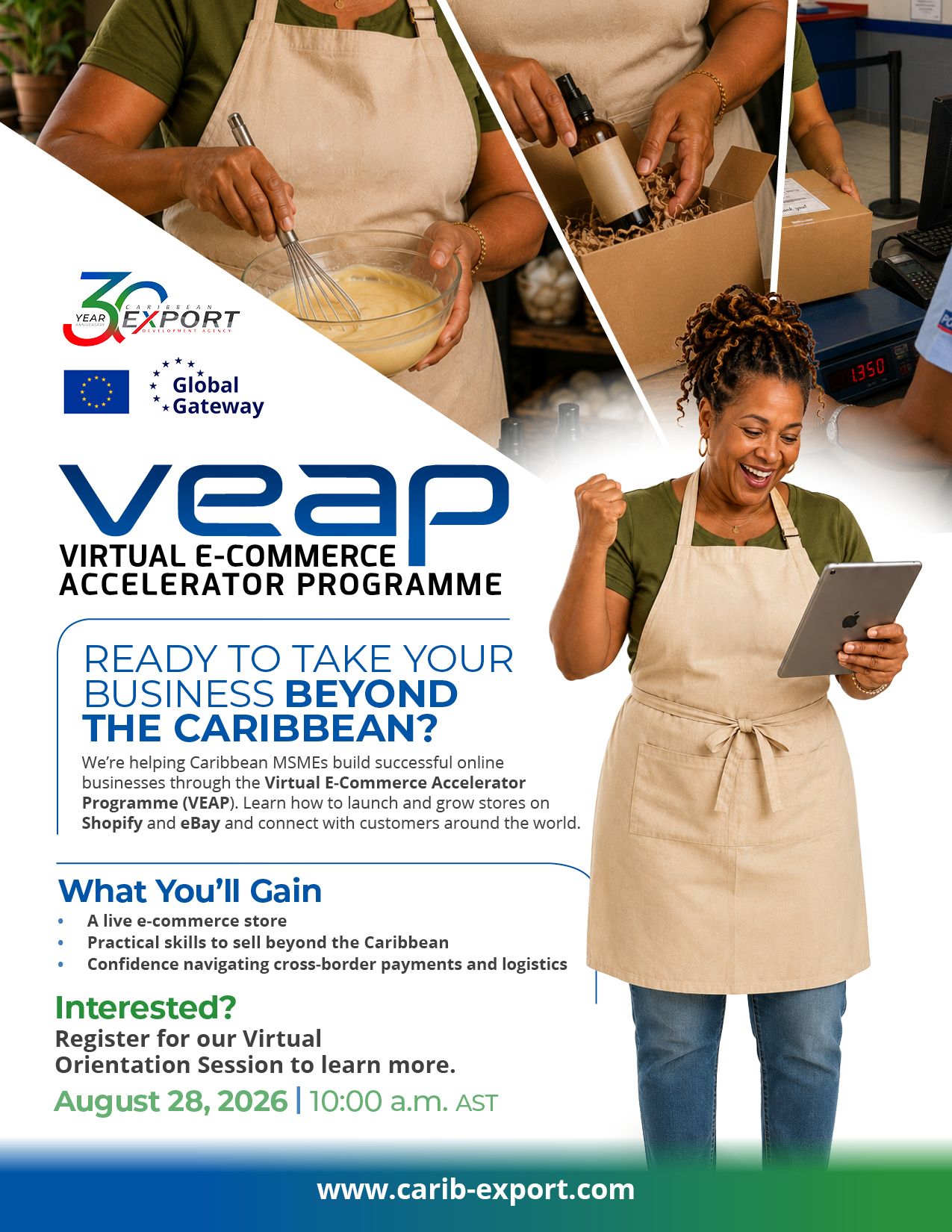 VEAP Orientation Flyer