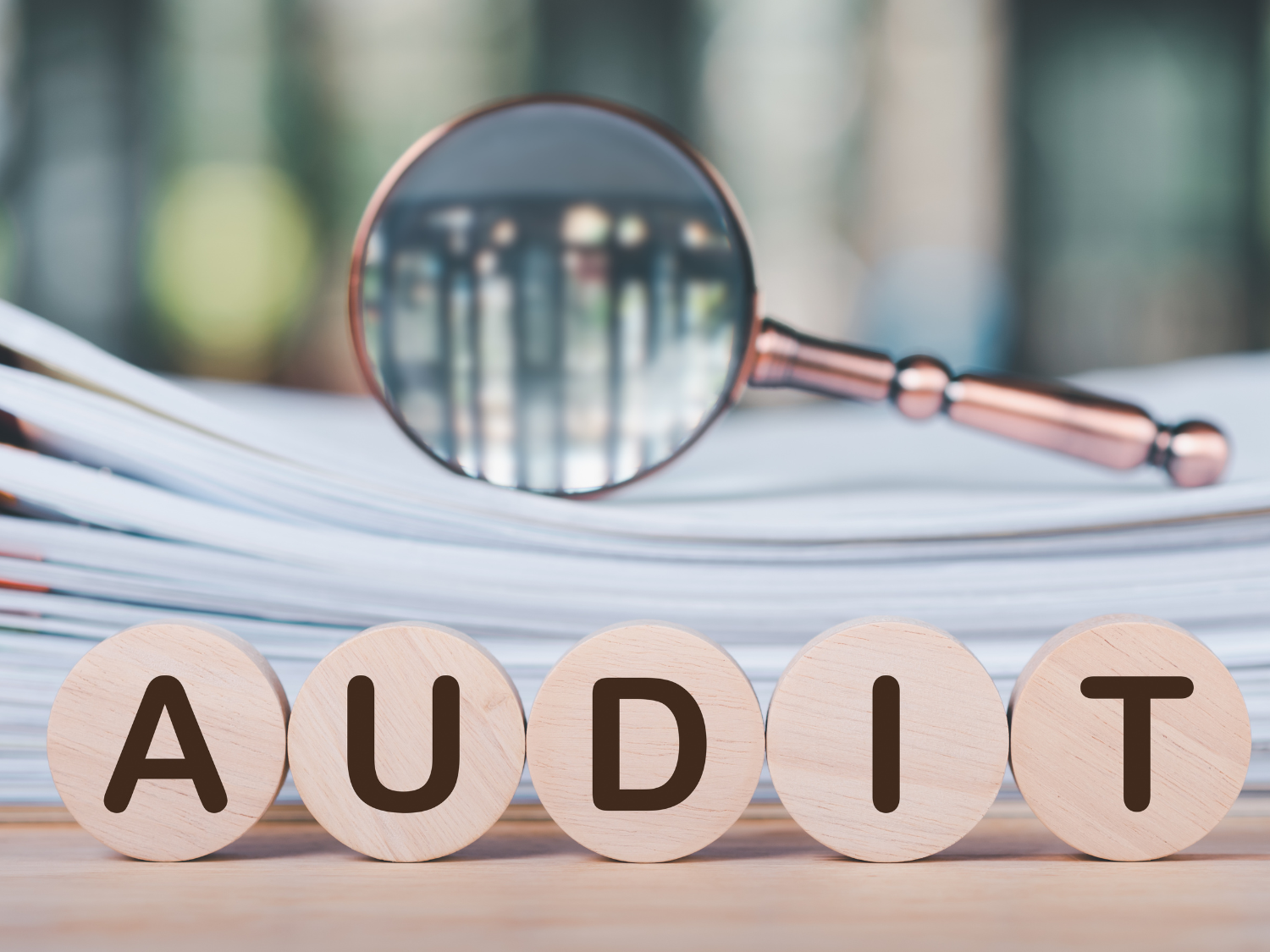 Audit Reports