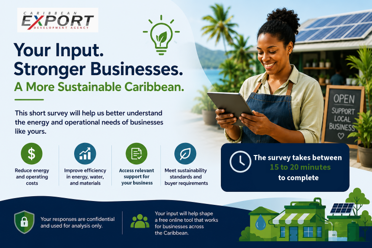 Green energy needs assessment survey infographic