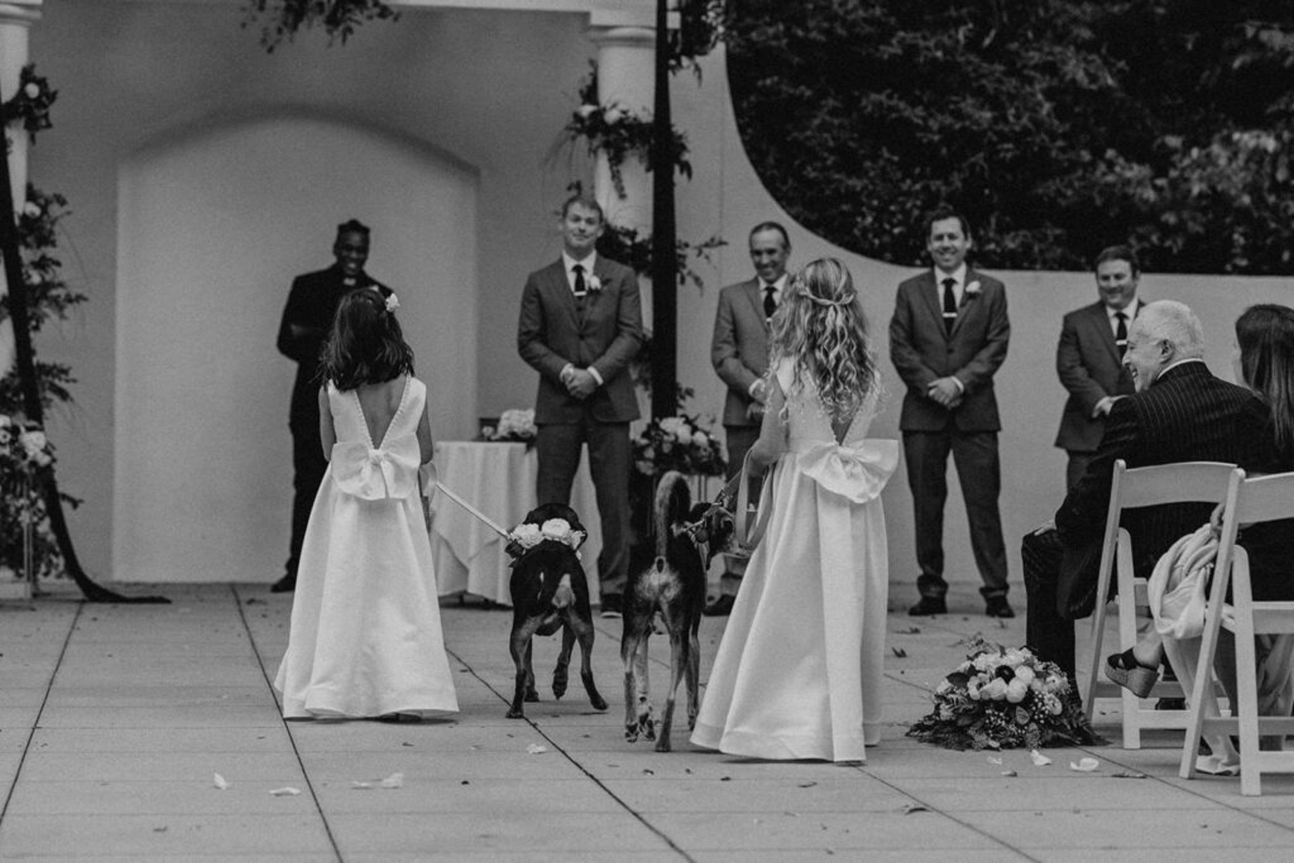 The flower girls arrive at the altar with the dogs, creating a charming and unique wedding moment at 173 Carlyle House.