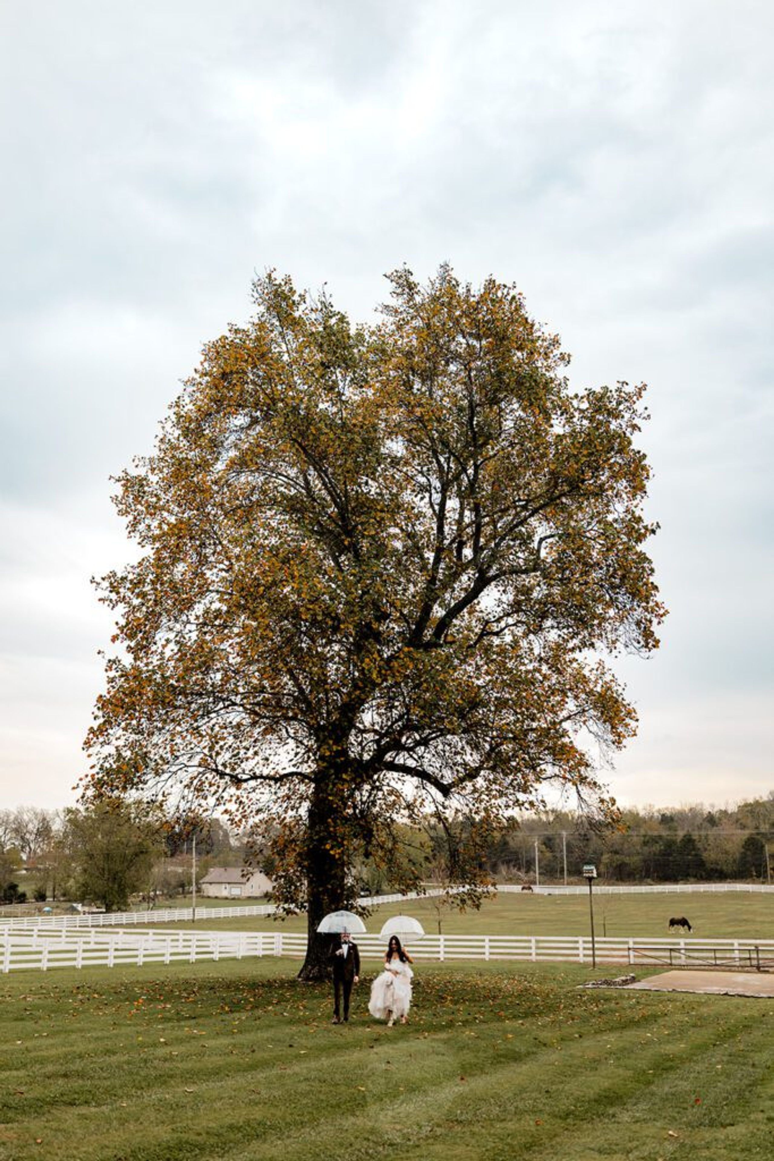 Planning a Wedding at Saddle Woods Farm: The Ultimate Guide — wedding photography by Hevesi Journal