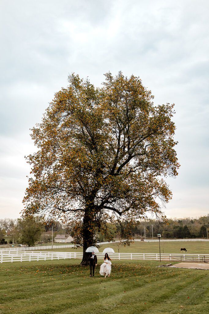 Planning a Wedding at Saddle Woods Farm: The Ultimate Guide — wedding photography by Hevesi Journal
