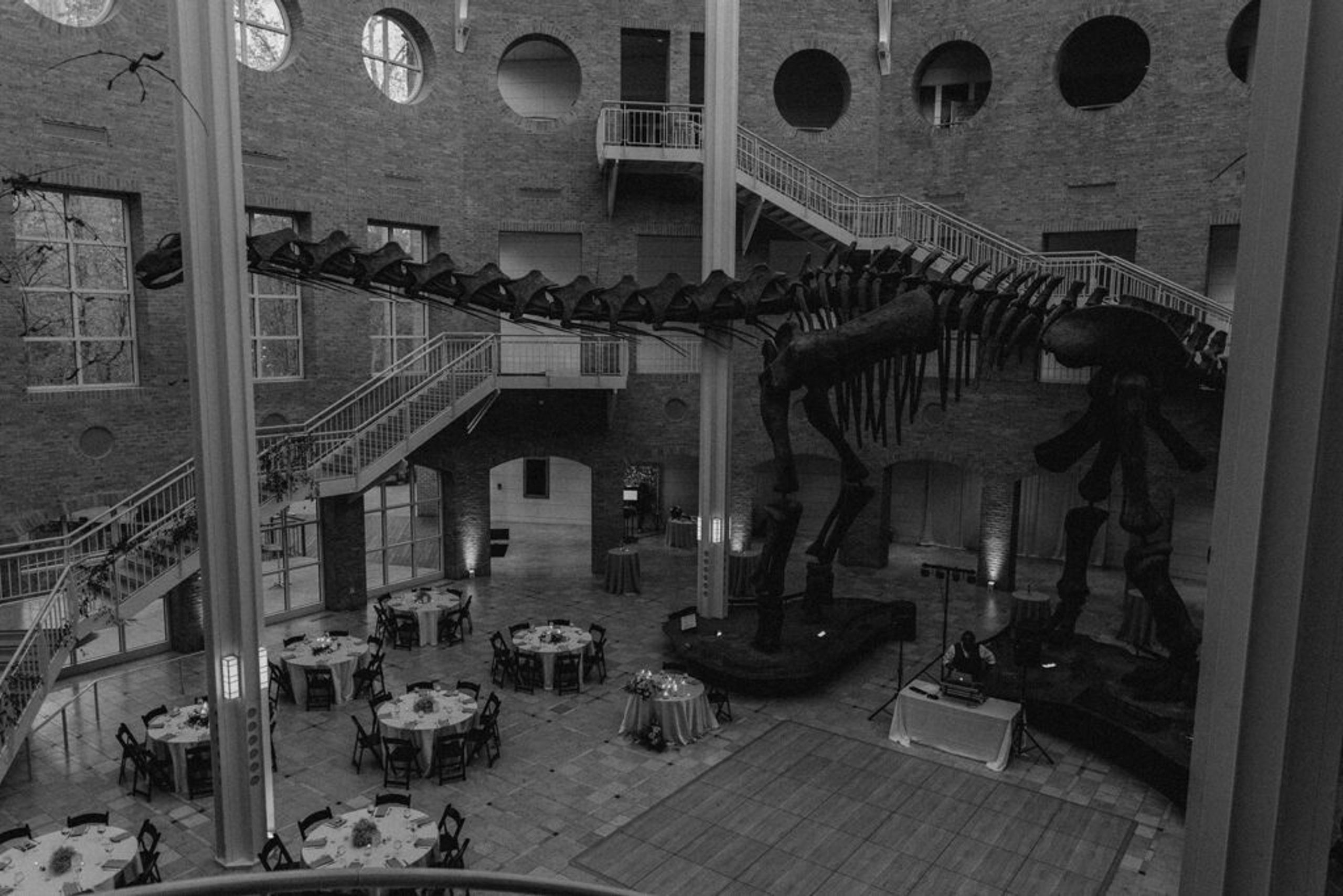 Inside a Fernbank Museum Wedding – Photos & Planning Tips — wedding photography by Hevesi Journal
