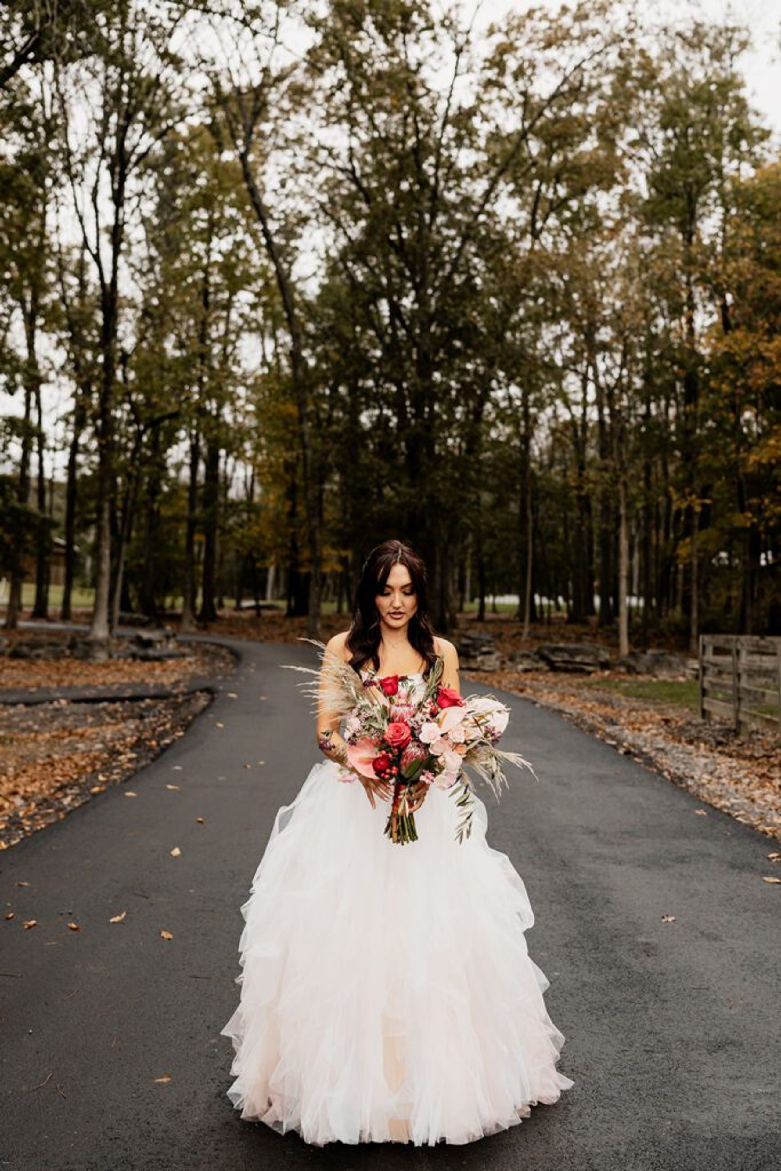 Planning a Wedding at Saddle Woods Farm: The Ultimate Guide — wedding photography by Hevesi Journal