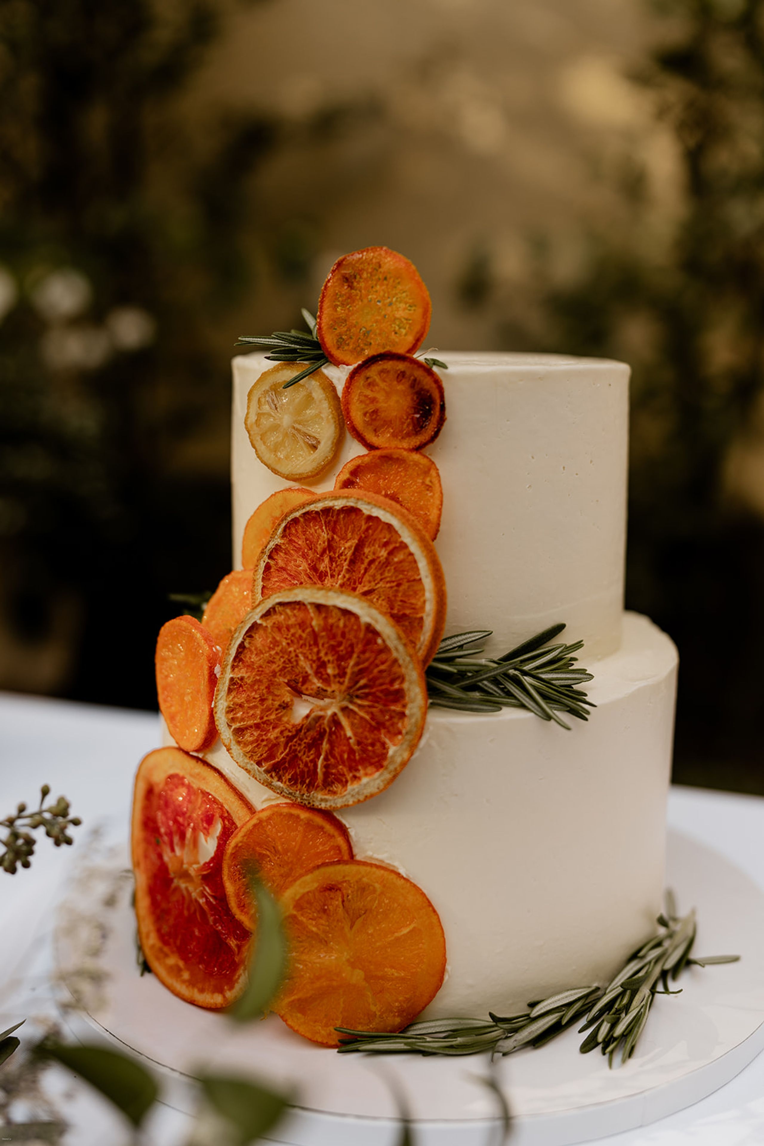 Wedding Planning at Daniel Stowe Botanical Garden Costs & Tips — wedding photography by Hevesi Journal