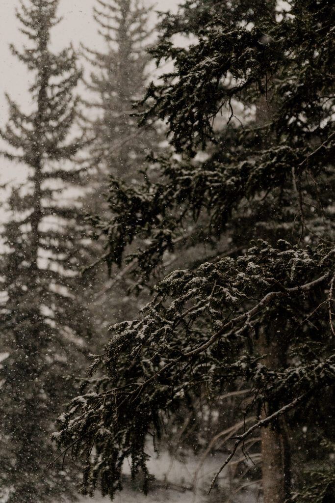 10 Creative Elopement Ideas for a Non-Traditional Wedding — wedding photography by Hevesi Journal