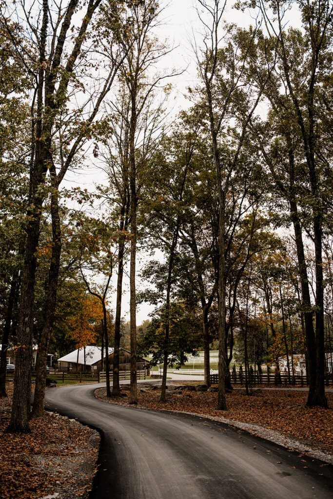 Planning a Wedding at Saddle Woods Farm: The Ultimate Guide — wedding photography by Hevesi Journal