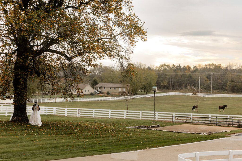 Planning a Wedding at Saddle Woods Farm: The Ultimate Guide — wedding photography by Hevesi Journal