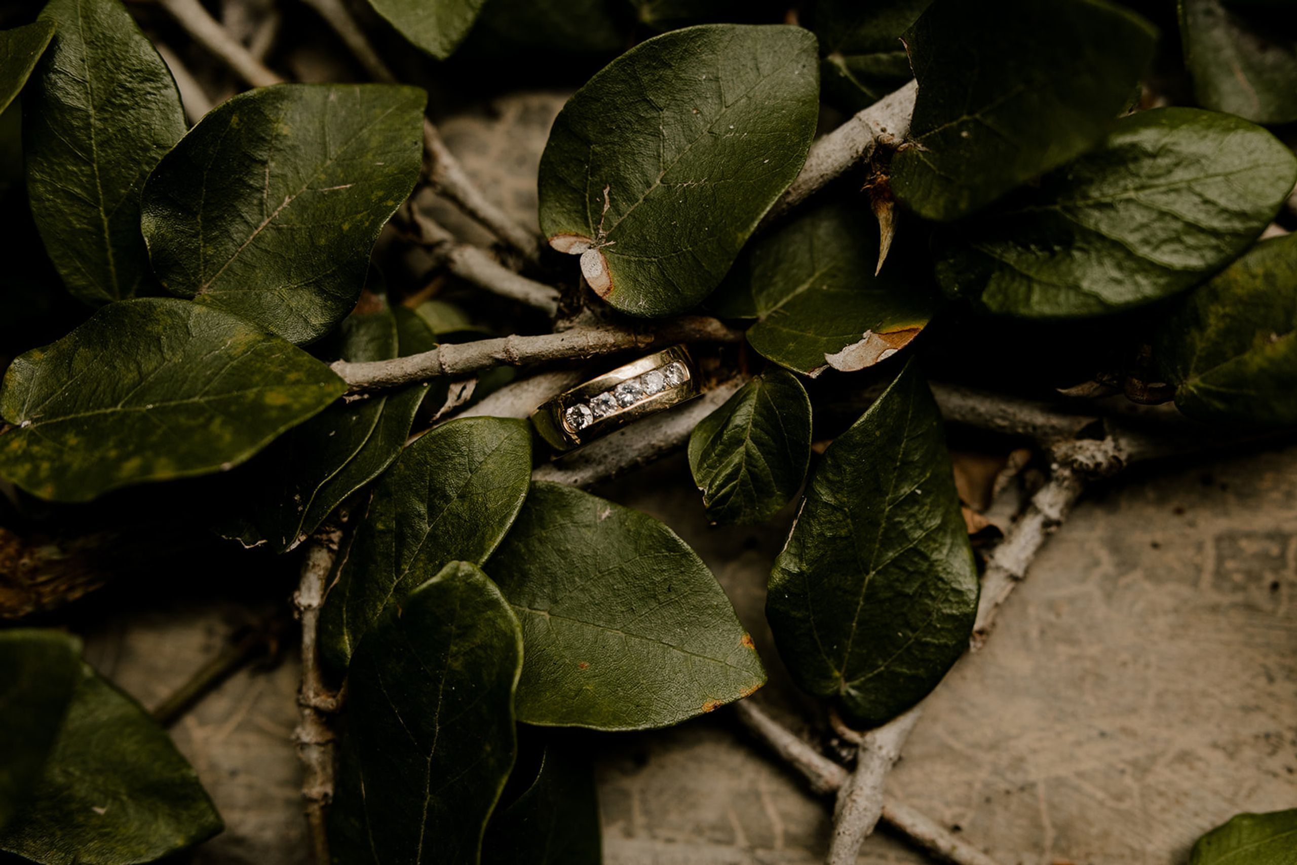 Planning Your Wedding at Hacienda Siesta Alegre: Costs, and Photos — wedding photography by Hevesi Journal