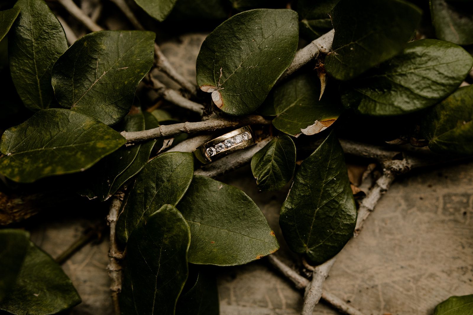 Planning Your Wedding at Hacienda Siesta Alegre: Costs, and Photos — wedding photography by Hevesi Journal