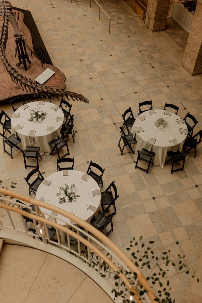 Inside a Fernbank Museum Wedding – Photos & Planning Tips — wedding photography by Hevesi Journal