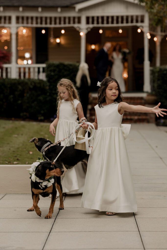 Two flower girls in white dresses walk down the aisle at 173 Carlyle House, holding the leashes of two dogs adorned with flowers.
