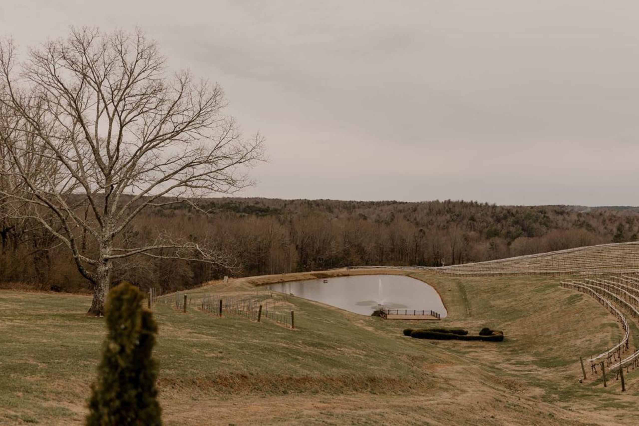 Serene view of the pond and rolling vineyards at Monteluce Winery, perfect for Taylor and Guillermo's engagement photos.