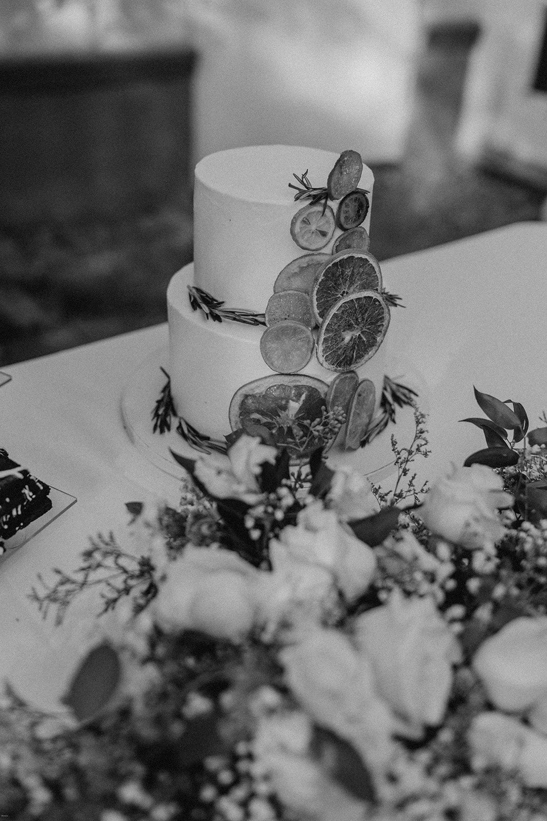 Wedding Planning at Daniel Stowe Botanical Garden Costs & Tips — wedding photography by Hevesi Journal