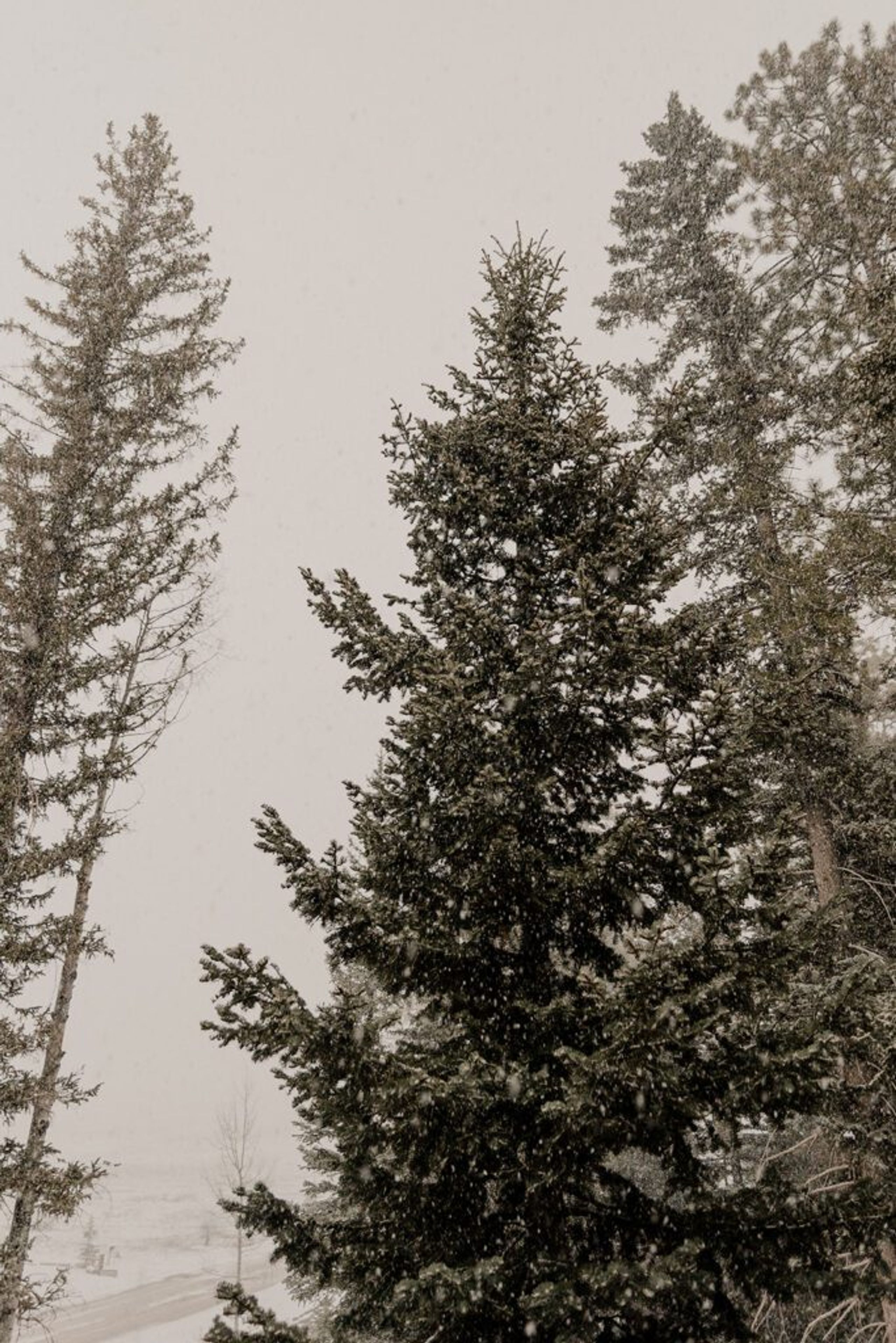10 Creative Elopement Ideas for a Non-Traditional Wedding — wedding photography by Hevesi Journal