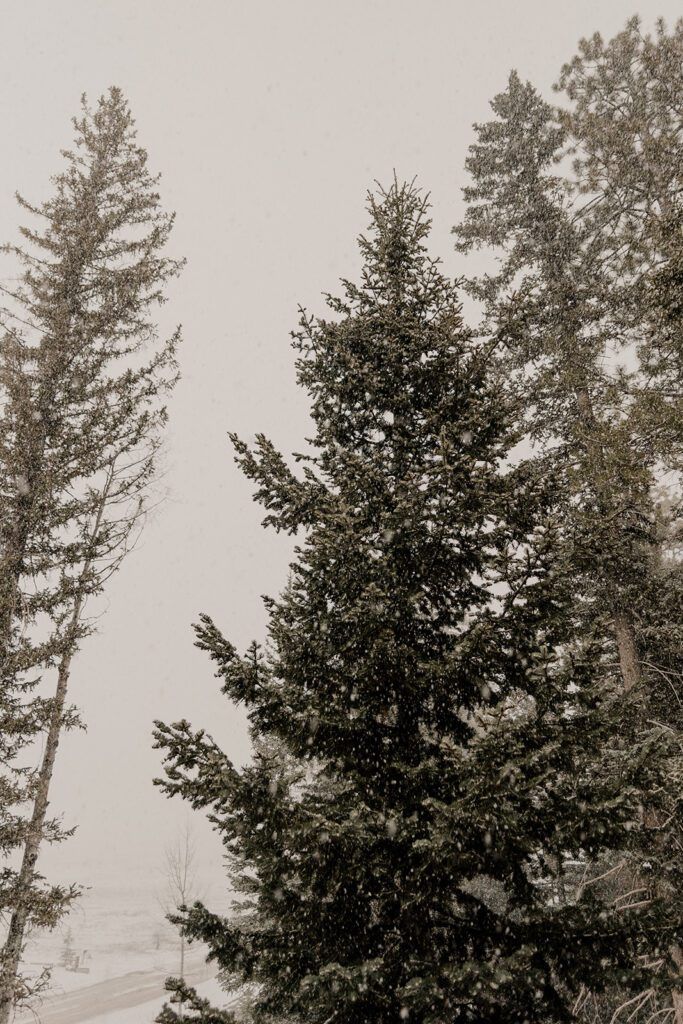 10 Creative Elopement Ideas for a Non-Traditional Wedding — wedding photography by Hevesi Journal