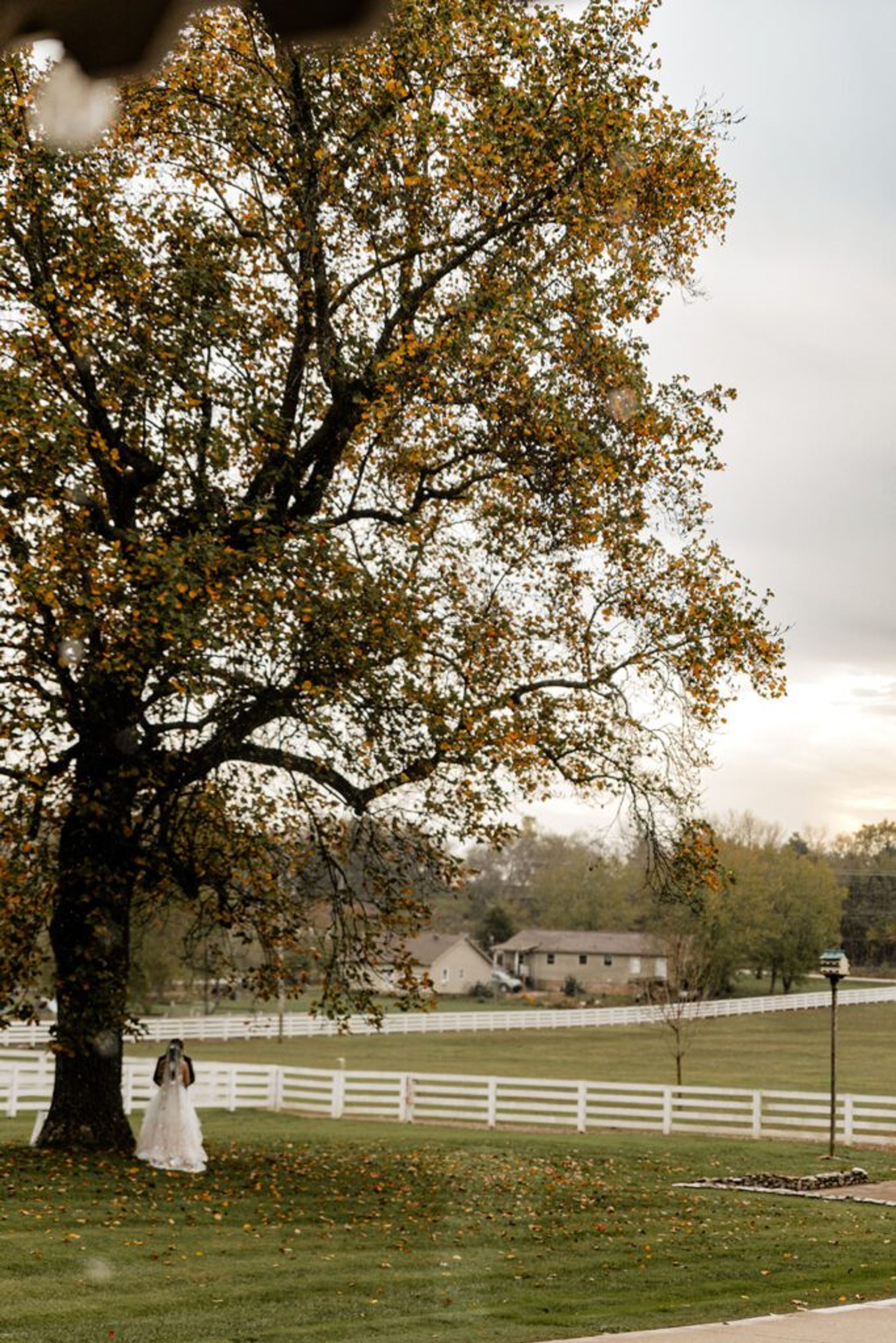 Planning a Wedding at Saddle Woods Farm: The Ultimate Guide — wedding photography by Hevesi Journal