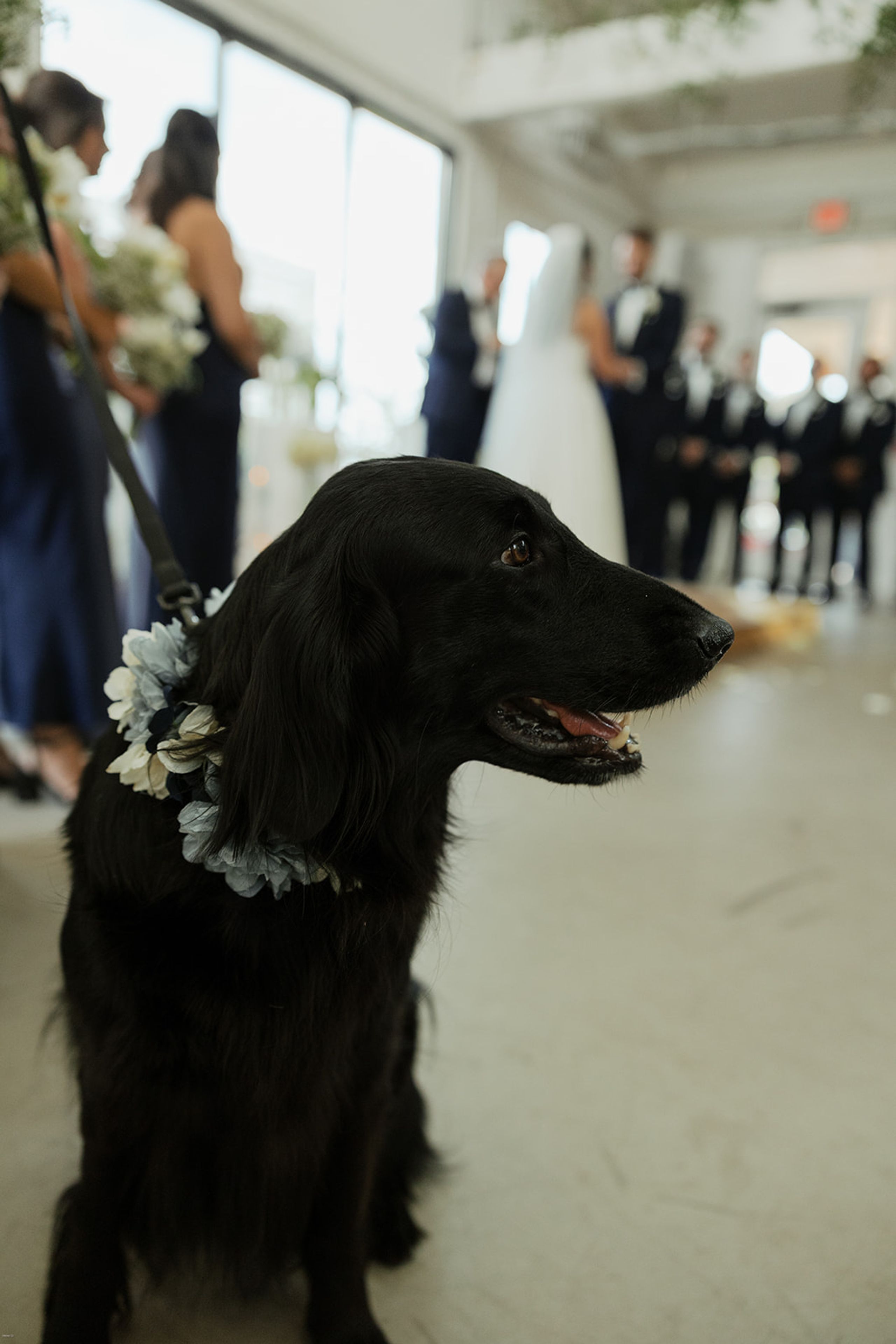 Allison & Patrick - Photo 4