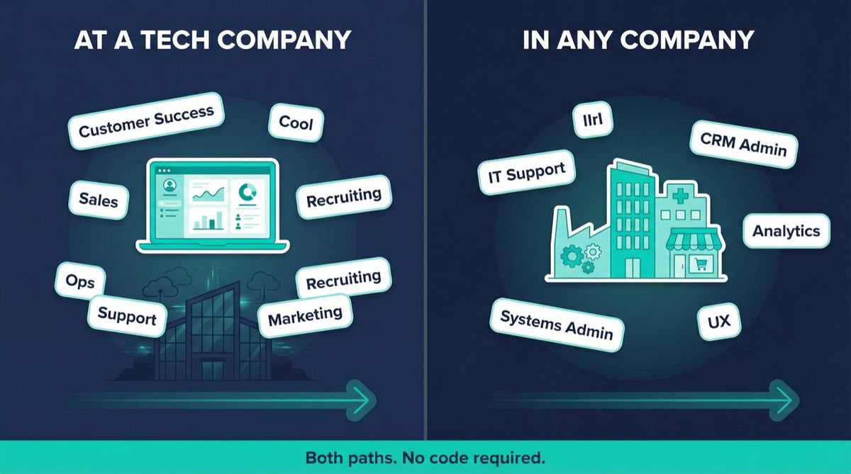 Split editorial illustration showing two paths into tech: working at a tech company vs a tech role at any company, with example non-coding roles listed for each