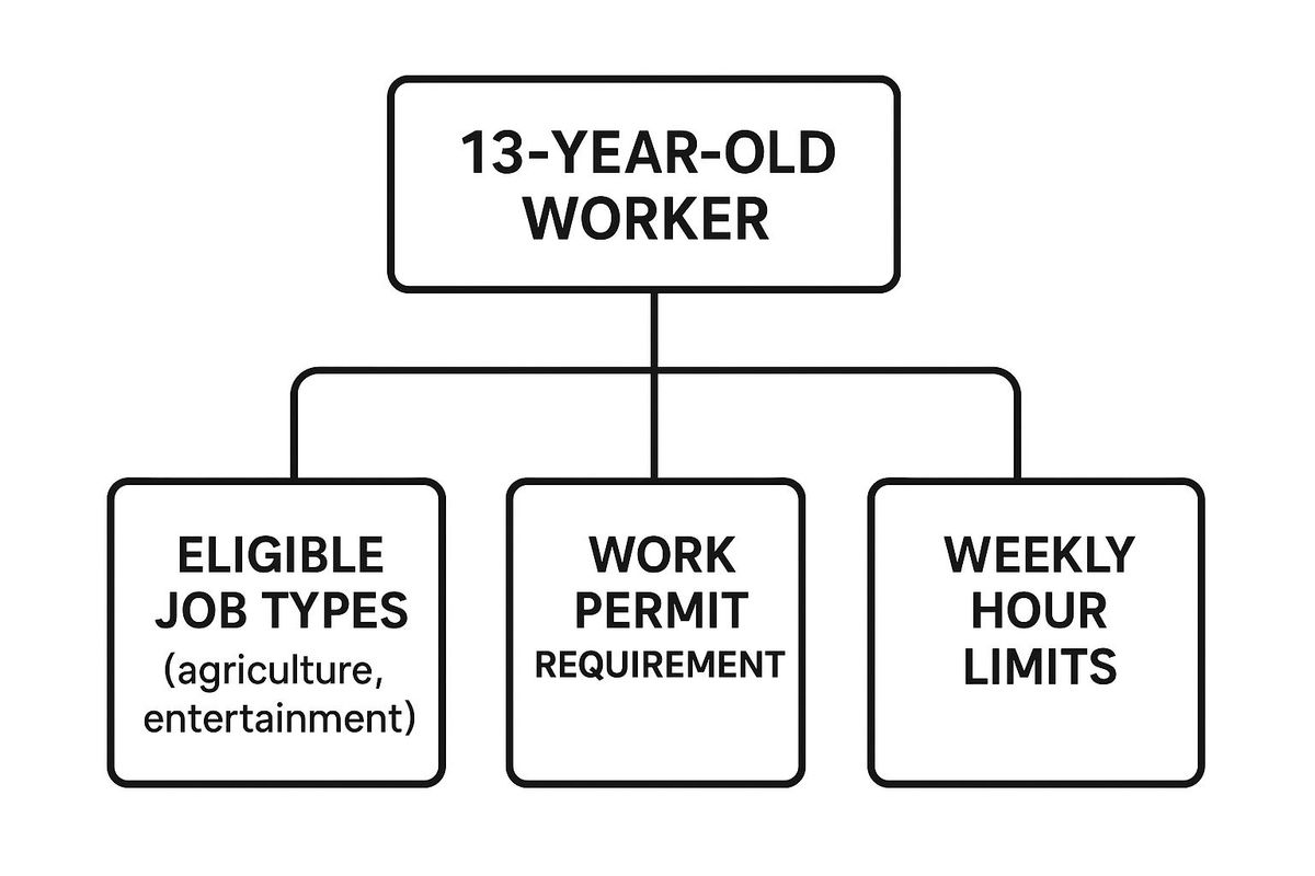 Infographic about can you get a job at 13
