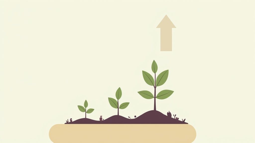 What opportunities are there for professional development and growth?