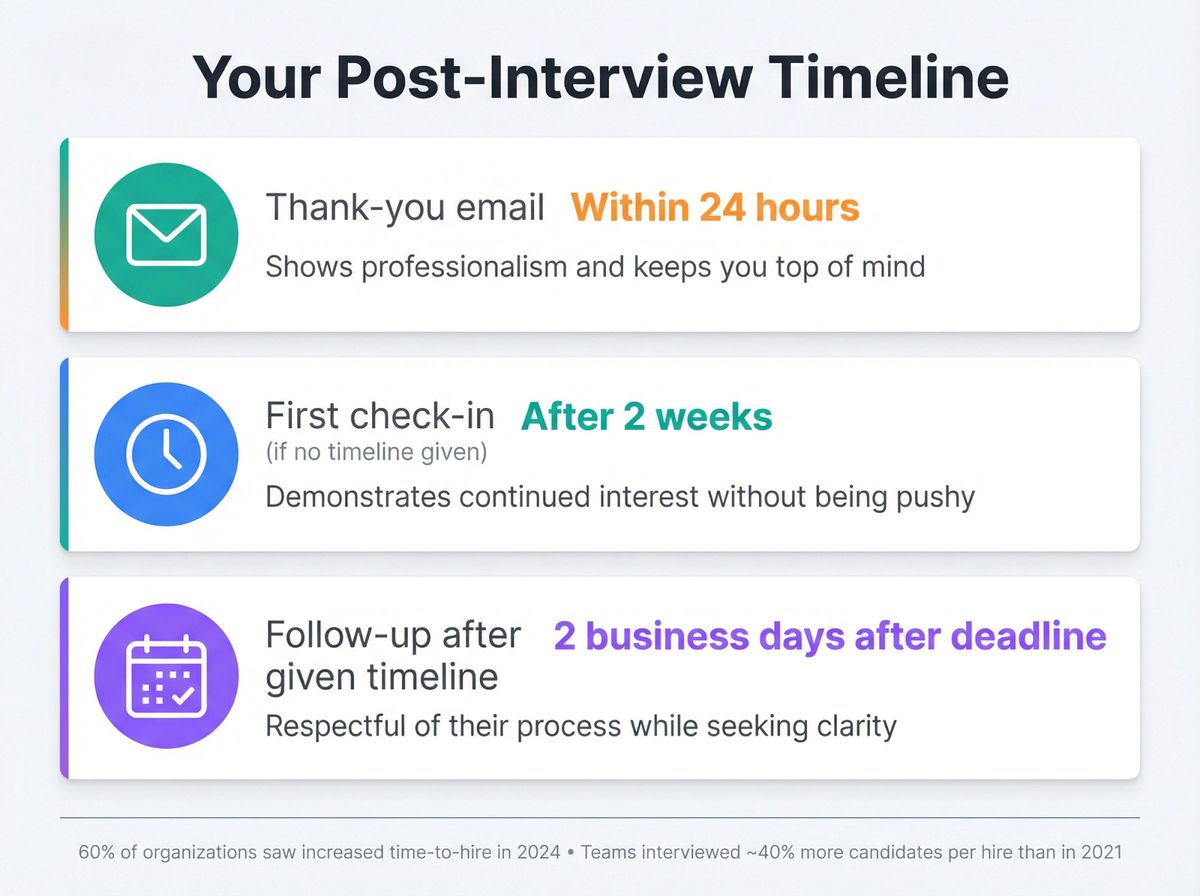 Post-interview follow-up timeline: send thank-you within 24hrs, check in after 2 weeks, follow up 2 days after deadline