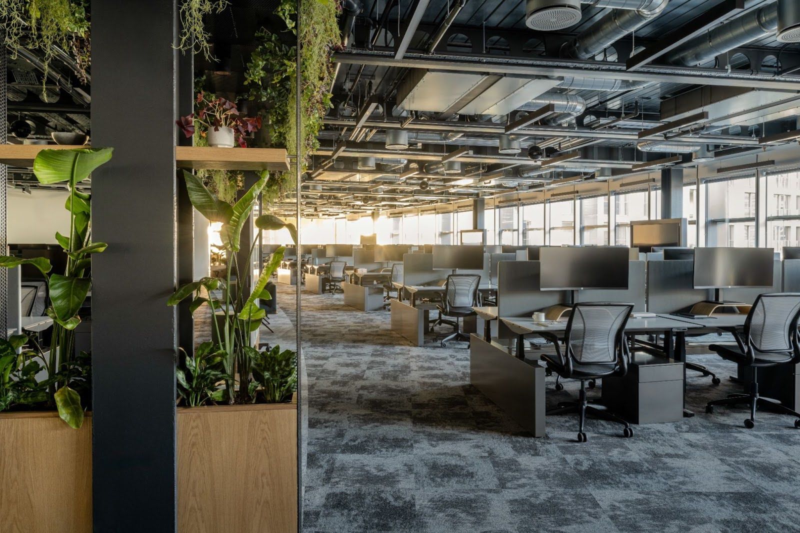 Why Engaging a Workplace Specialist Early Is Vital for Your Next Office