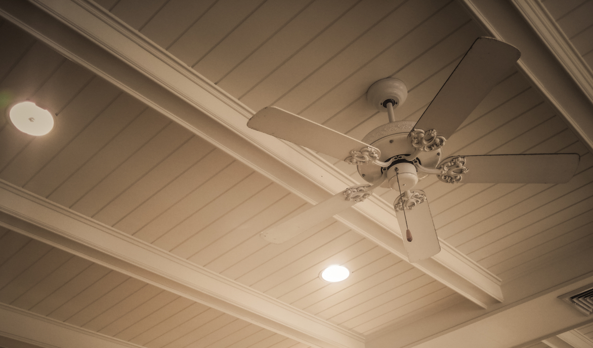 A ceiling fan and downlights on a raked ceiling with exposed timber beams