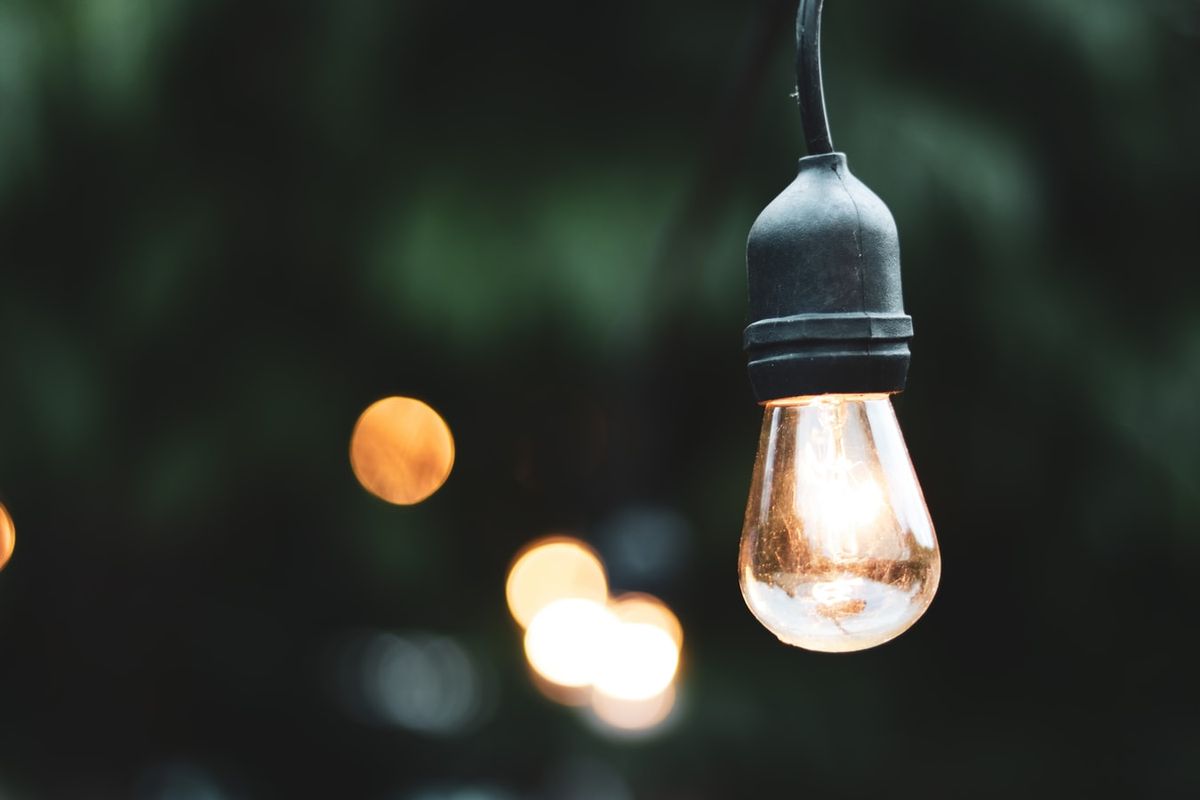 A filament bulb hanging outdoors against a dark garden