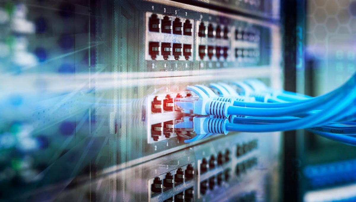 Network cables plugged into a patch panel under blue light