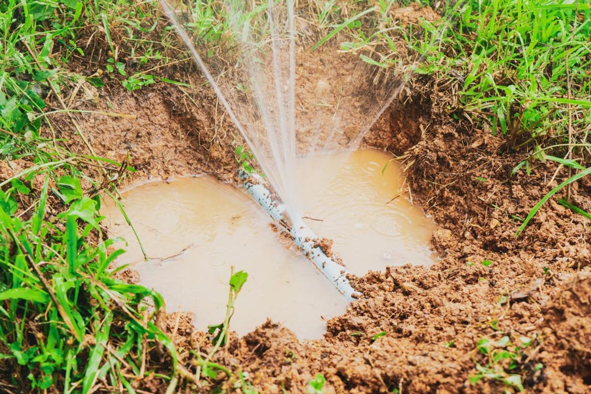 Water spraying from a burst pipe in a patch of grass