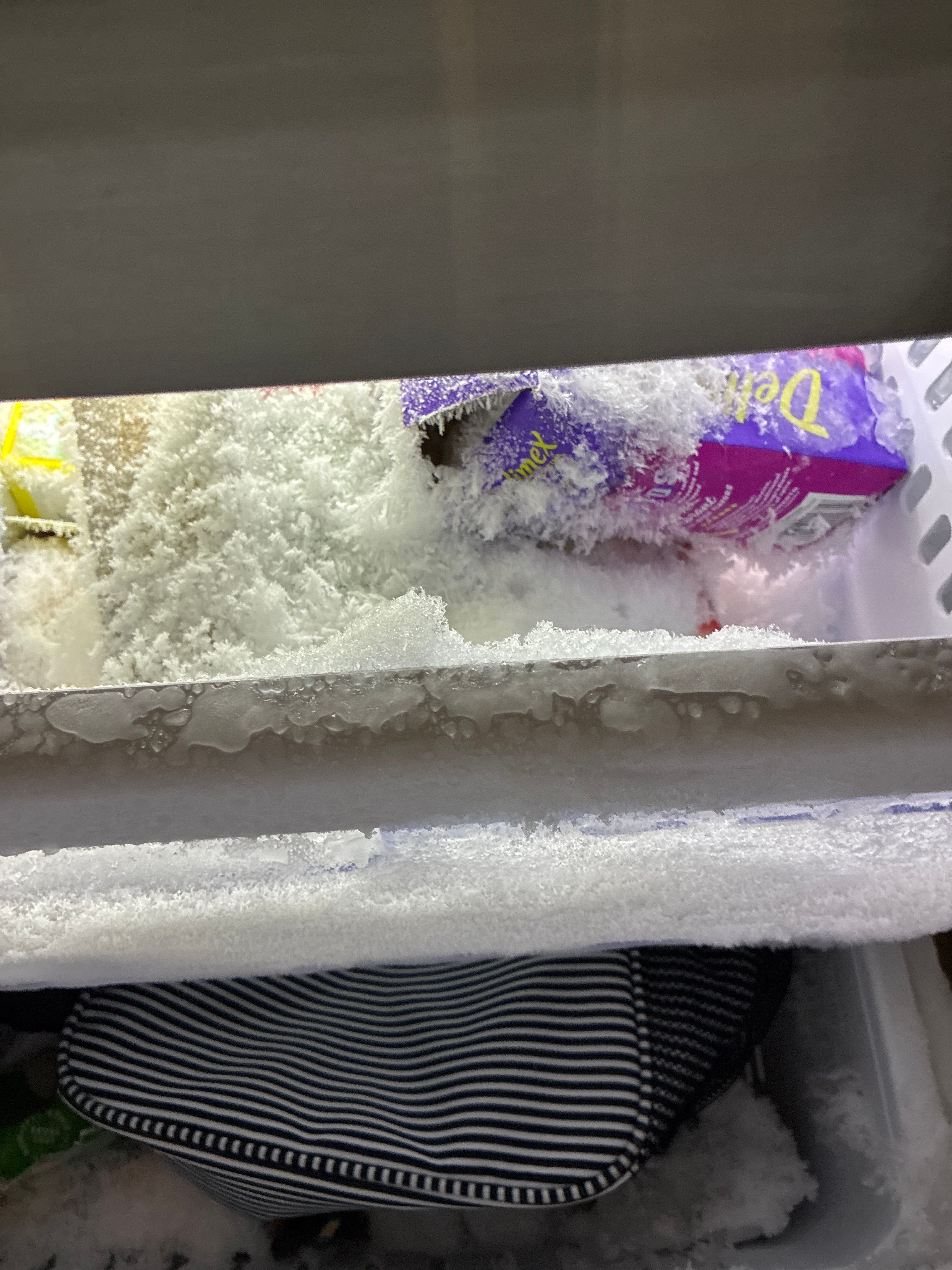 A Samsung Refrigerator With a Freezer That Would Not Defrost in Falls Church (photo 2)