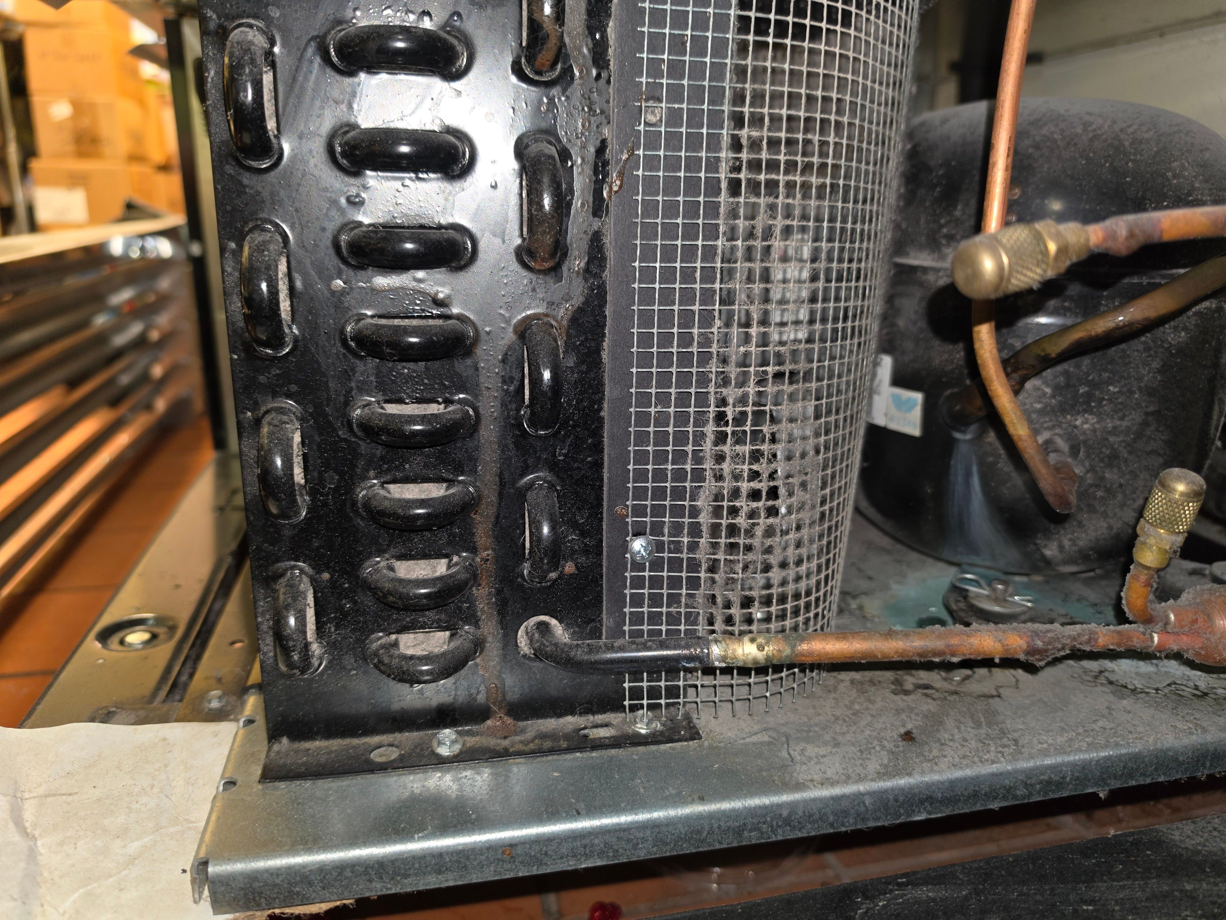 A True Commercial Refrigerator Needing a Door Gasket in San Marino (photo 2)