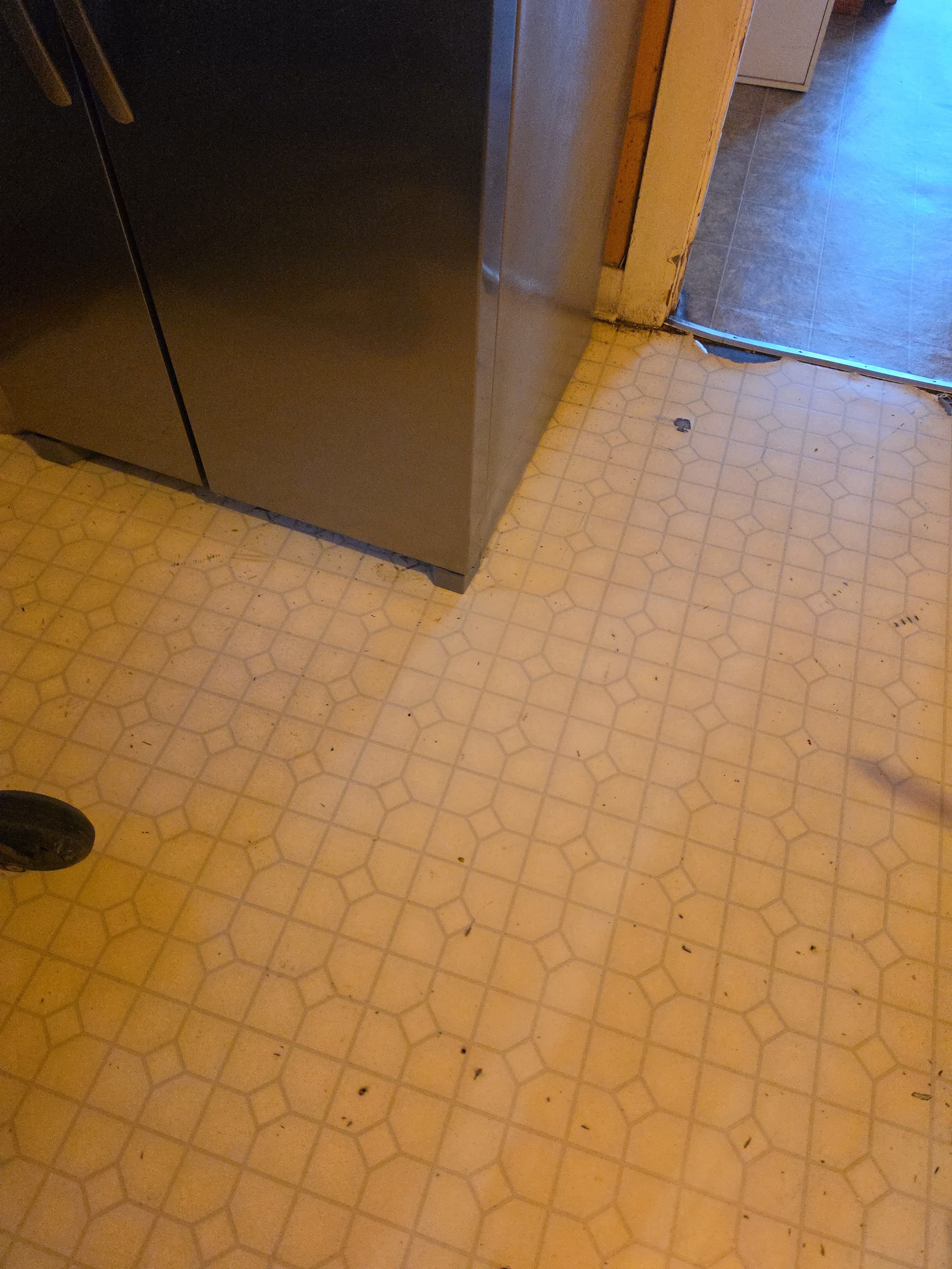 A Frigidaire Refrigerator That Got Loud, Then Warm, in Pasadena (photo 1)