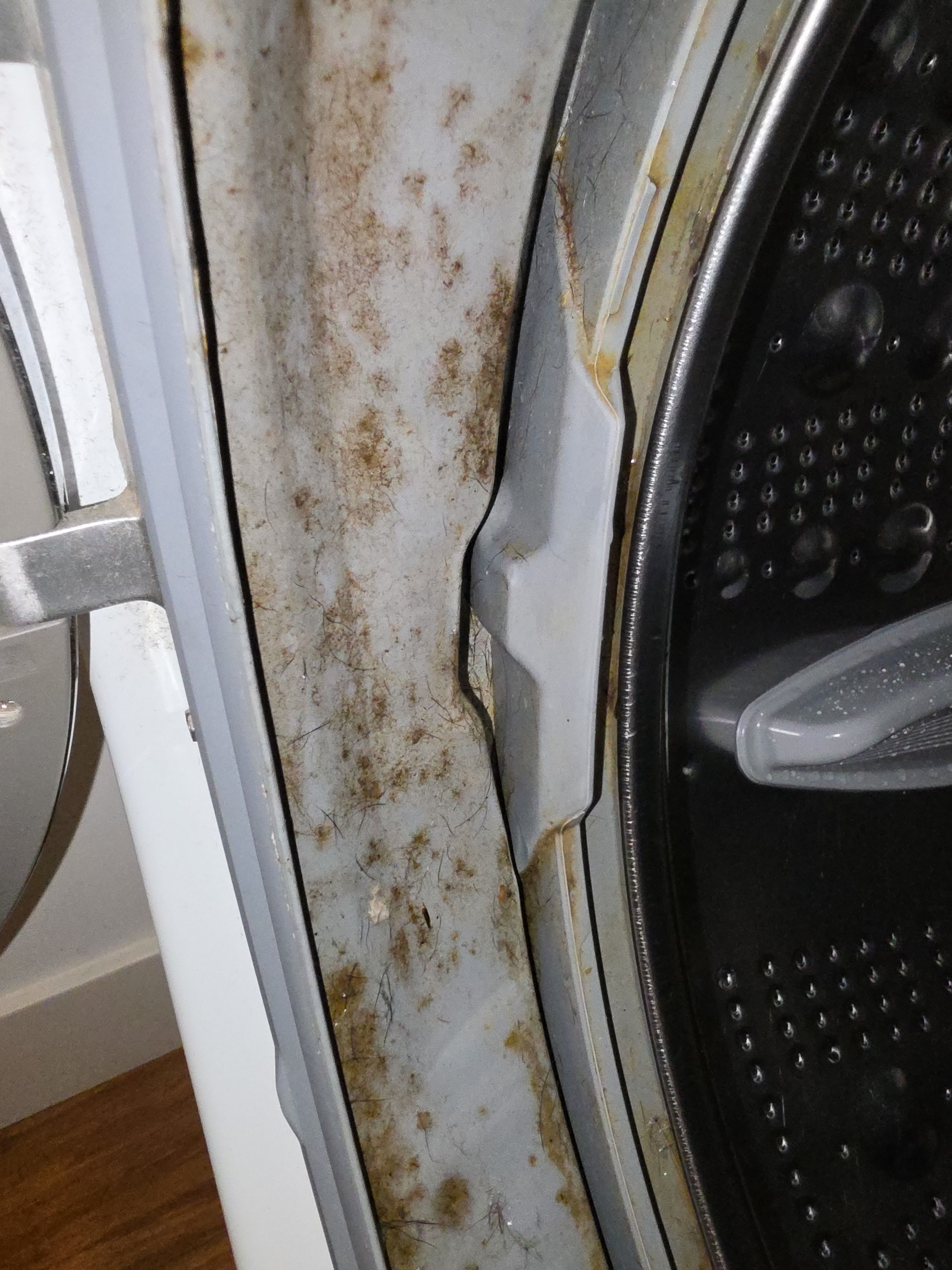 An LG Washer That Ran Fine but Left Clothes Dirty in Eagle Rock (photo 3)