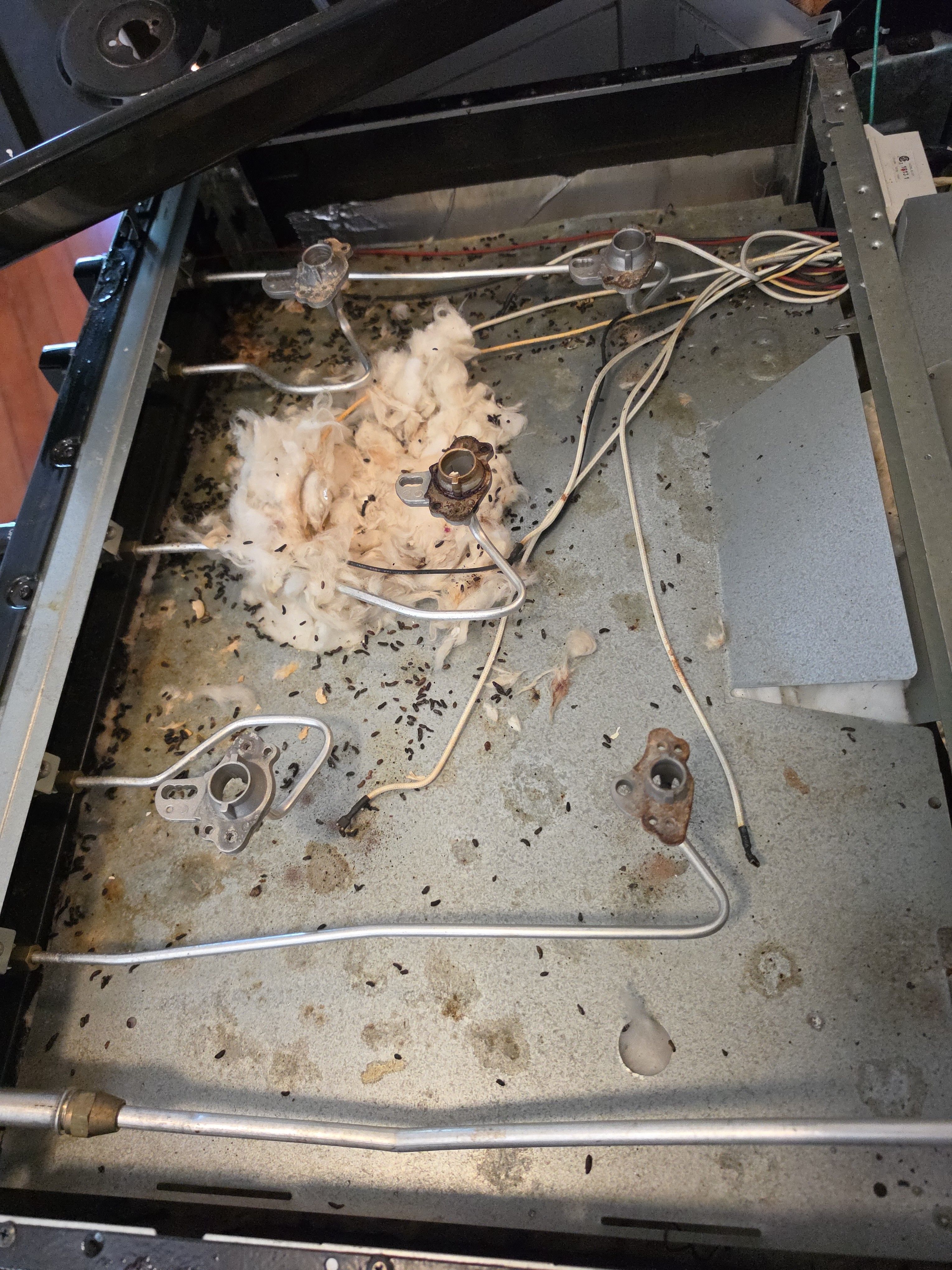 A Gas Range Diagnostic and Maintenance Visit in Los Angeles (photo 3)