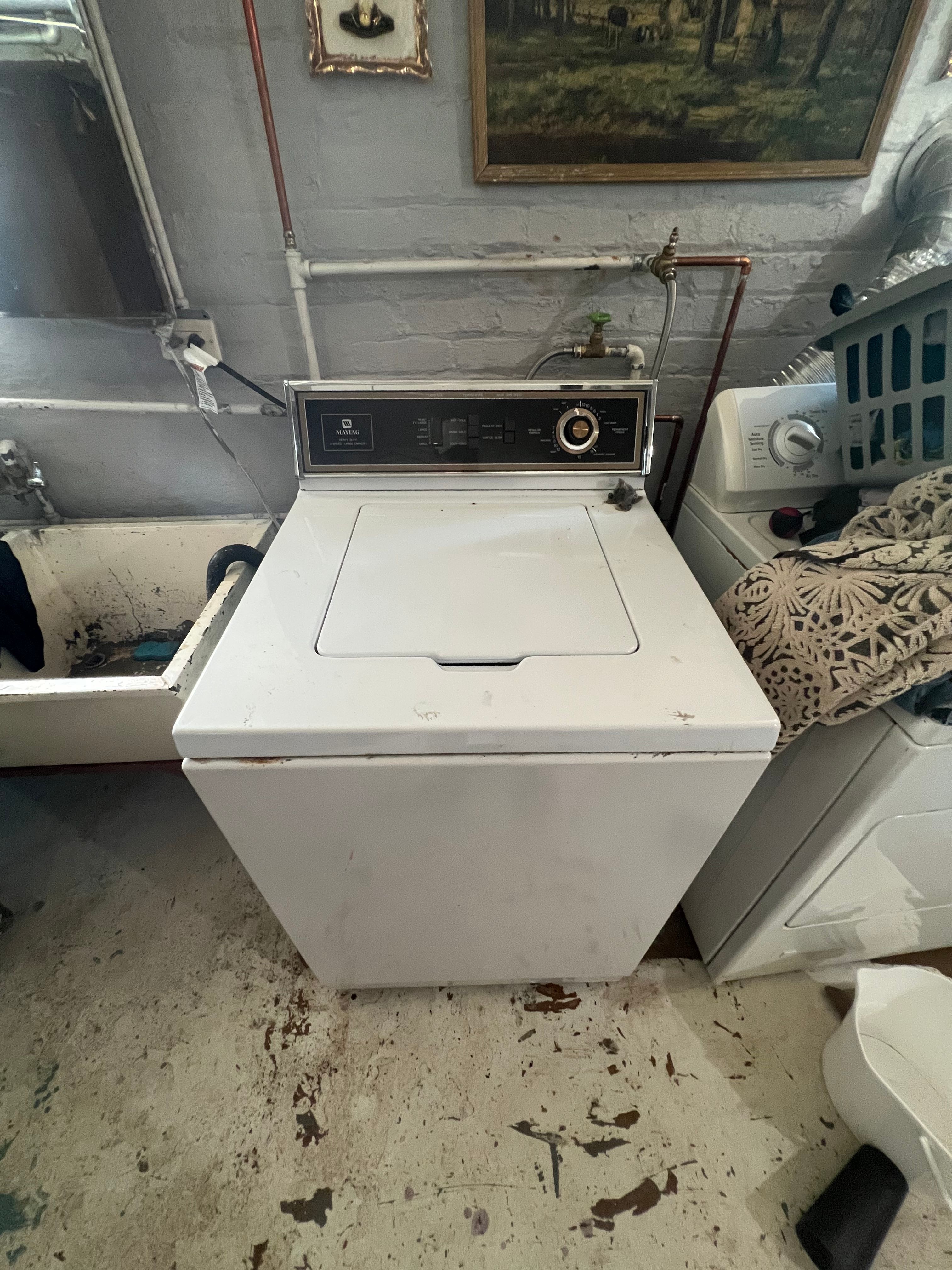 A Clogged Maytag Washer Cleared in Lyons (photo 1)