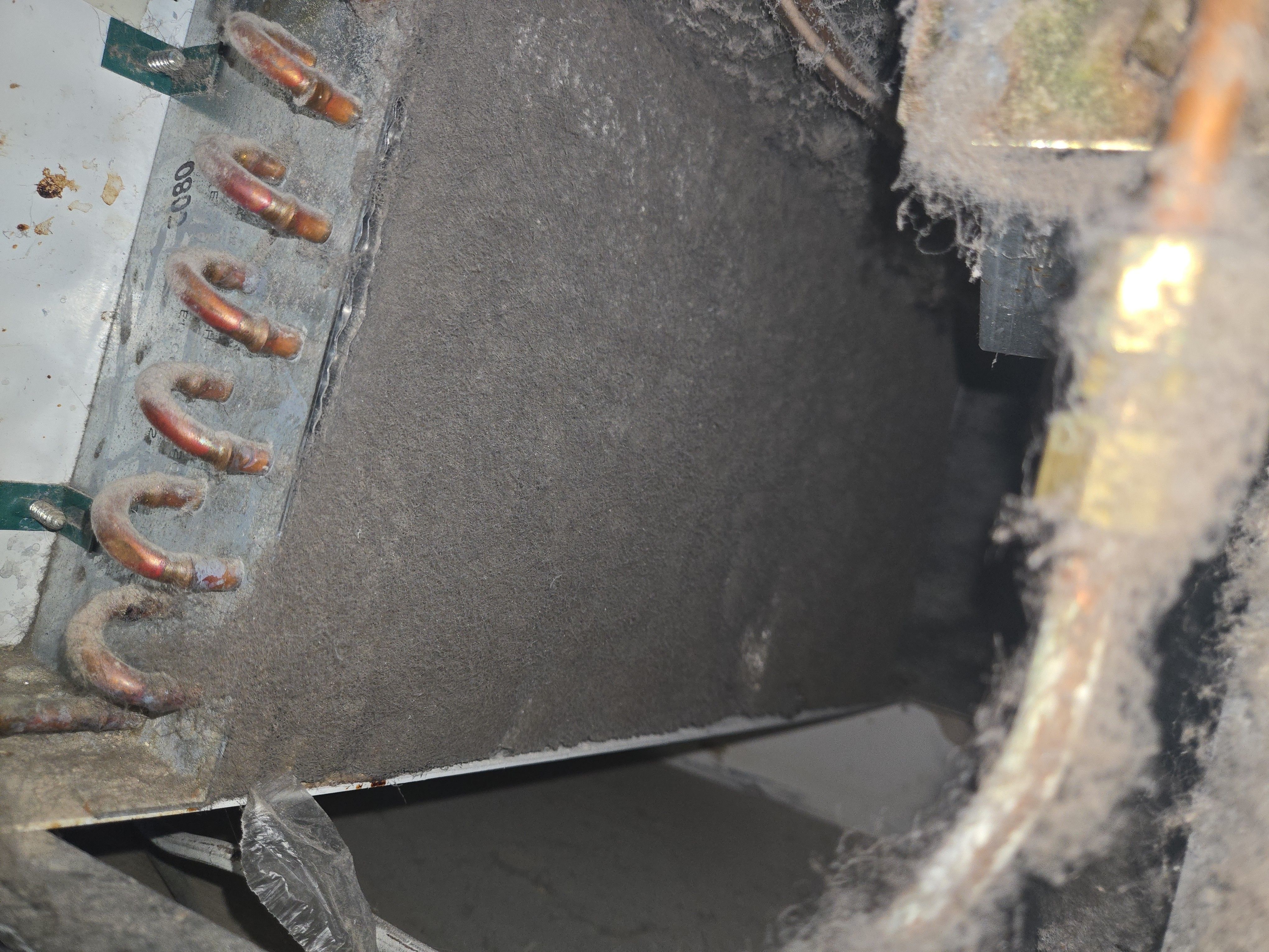 A Sub-Zero Refrigerator With a Warning Light Needing a Condenser Cleaning in Potomac (photo 1)