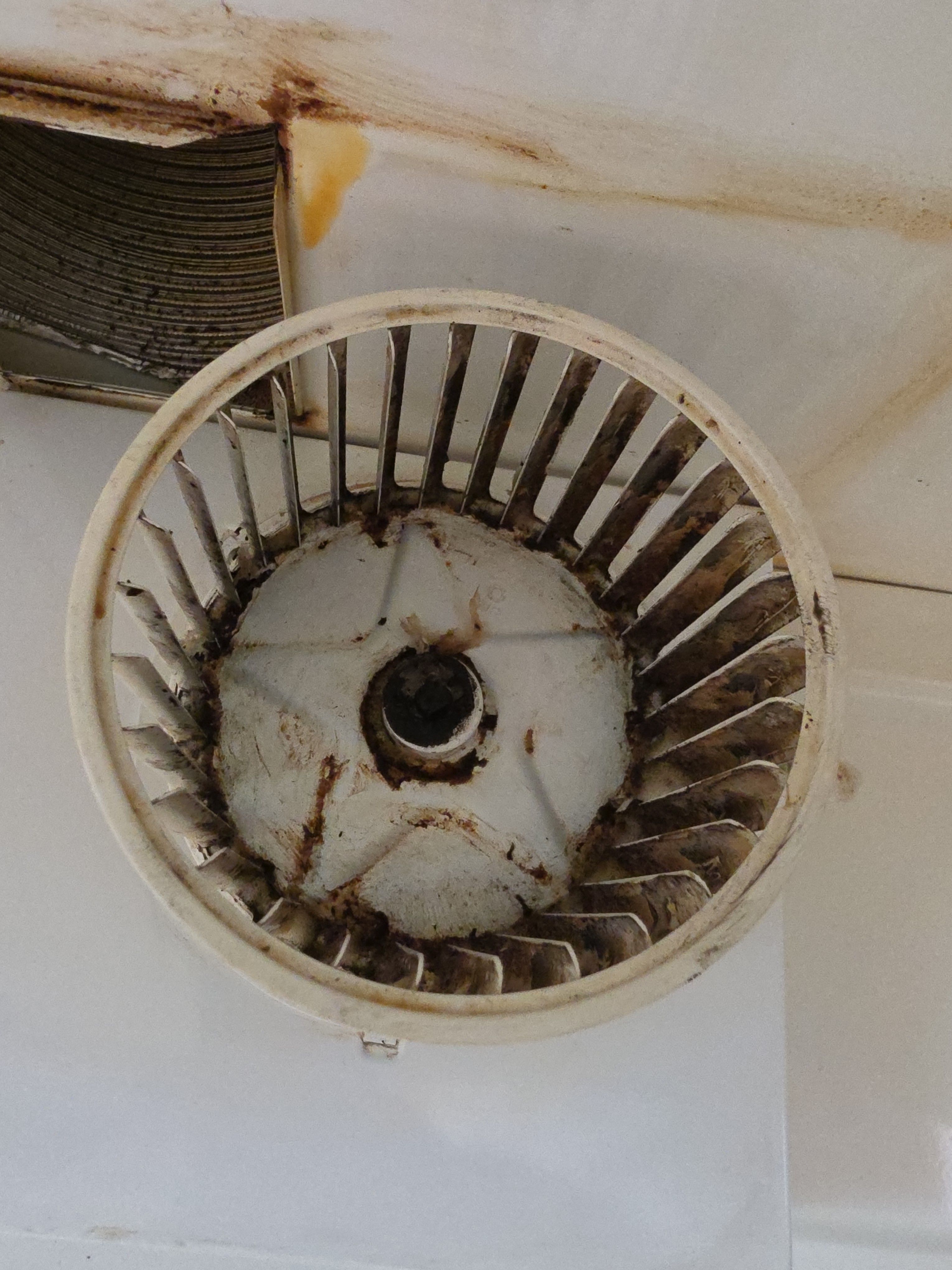 A Range Hood Deep Cleaning Service in Pasadena (photo 1)