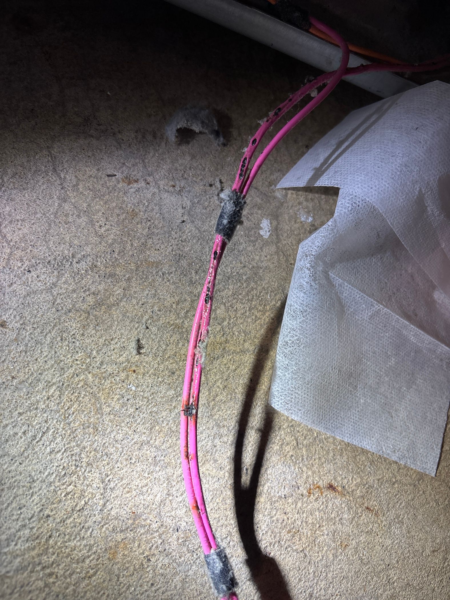An Amana Dryer That Kept Tripping the Breaker in Hanover Park (photo 3)