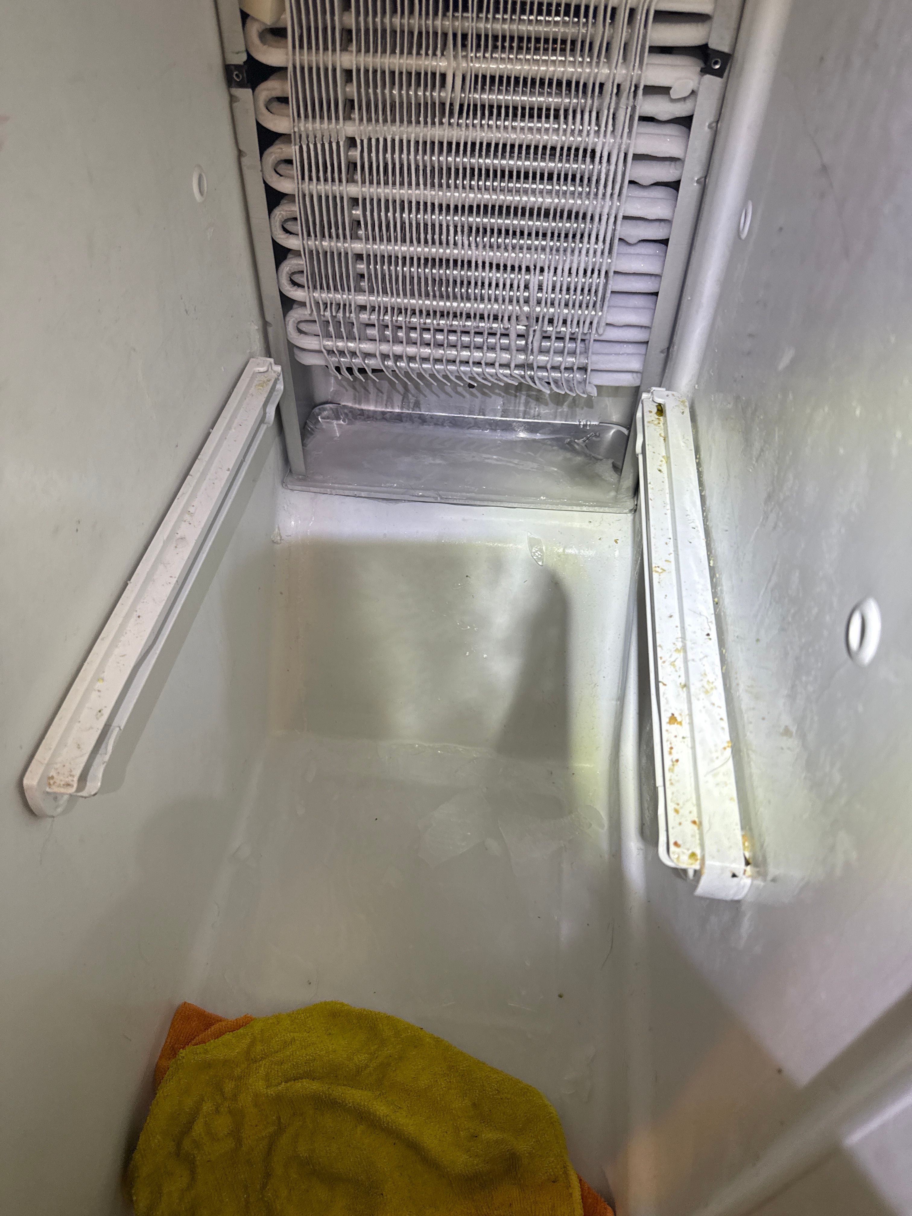 A Frigidaire Freezer Leaking Water From Under the Door in Lansing (photo 1)